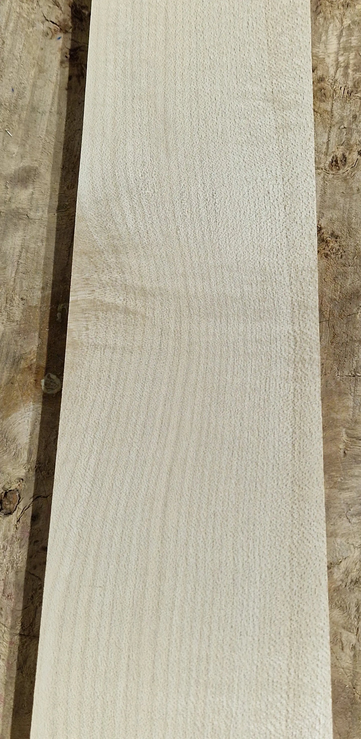 Griffbrett Ahorn 271025