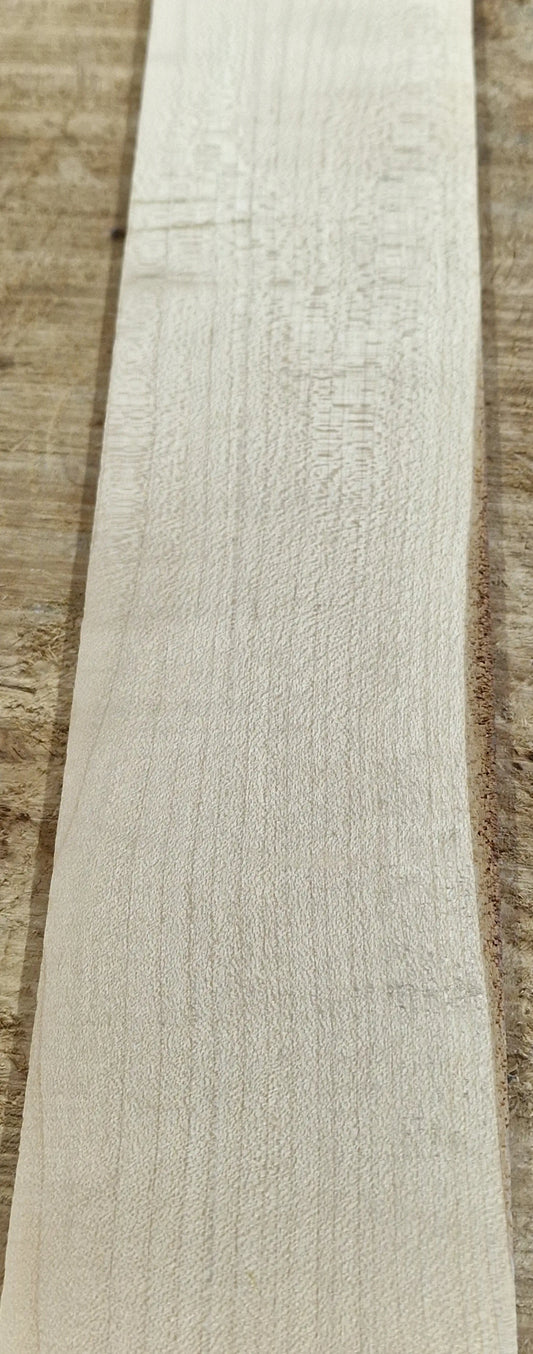 Griffbrett Ahorn 290825 Bass