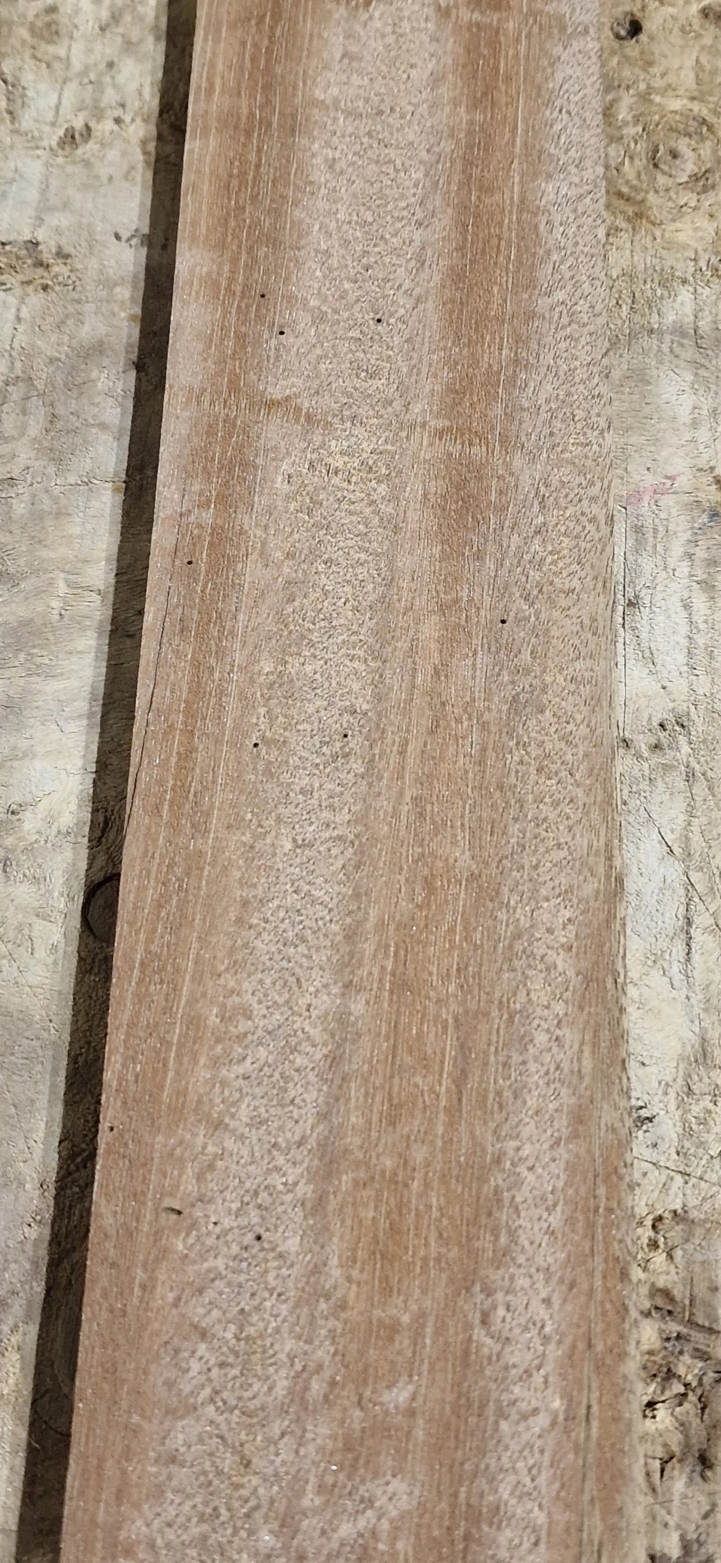 Griffbrett Bangkirai 271025 B-Ware