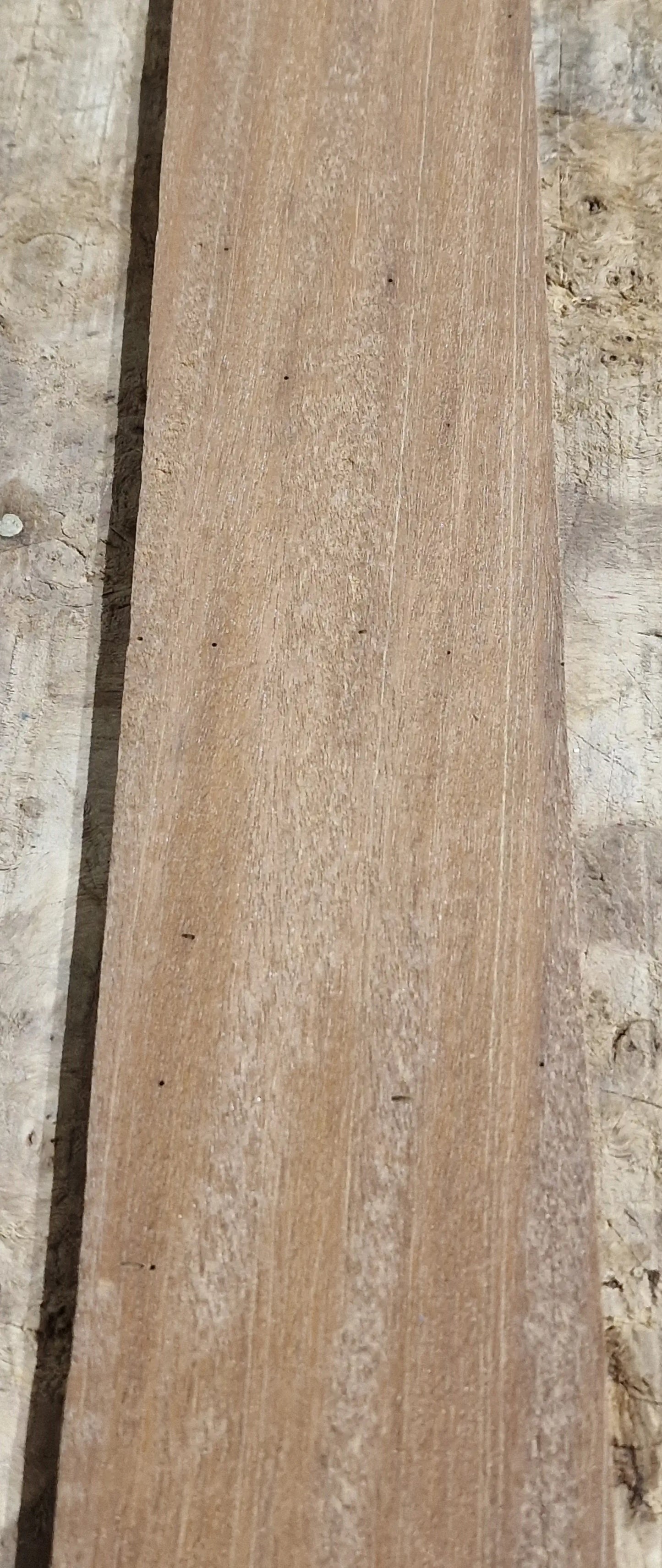 Griffbrett Bangkirai 271025 B-Ware