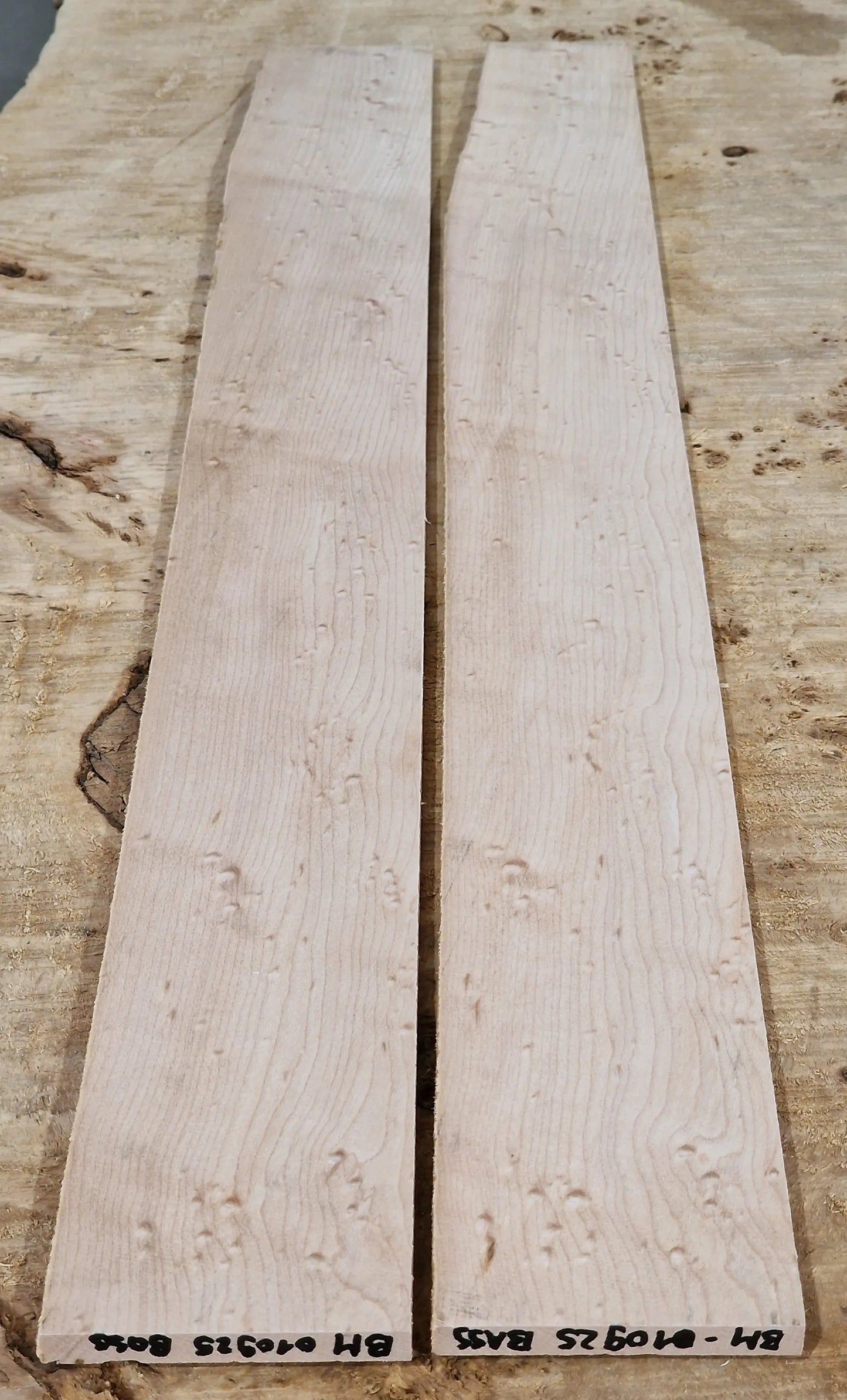 Griffbrett Birdeye Maple Bass 010925