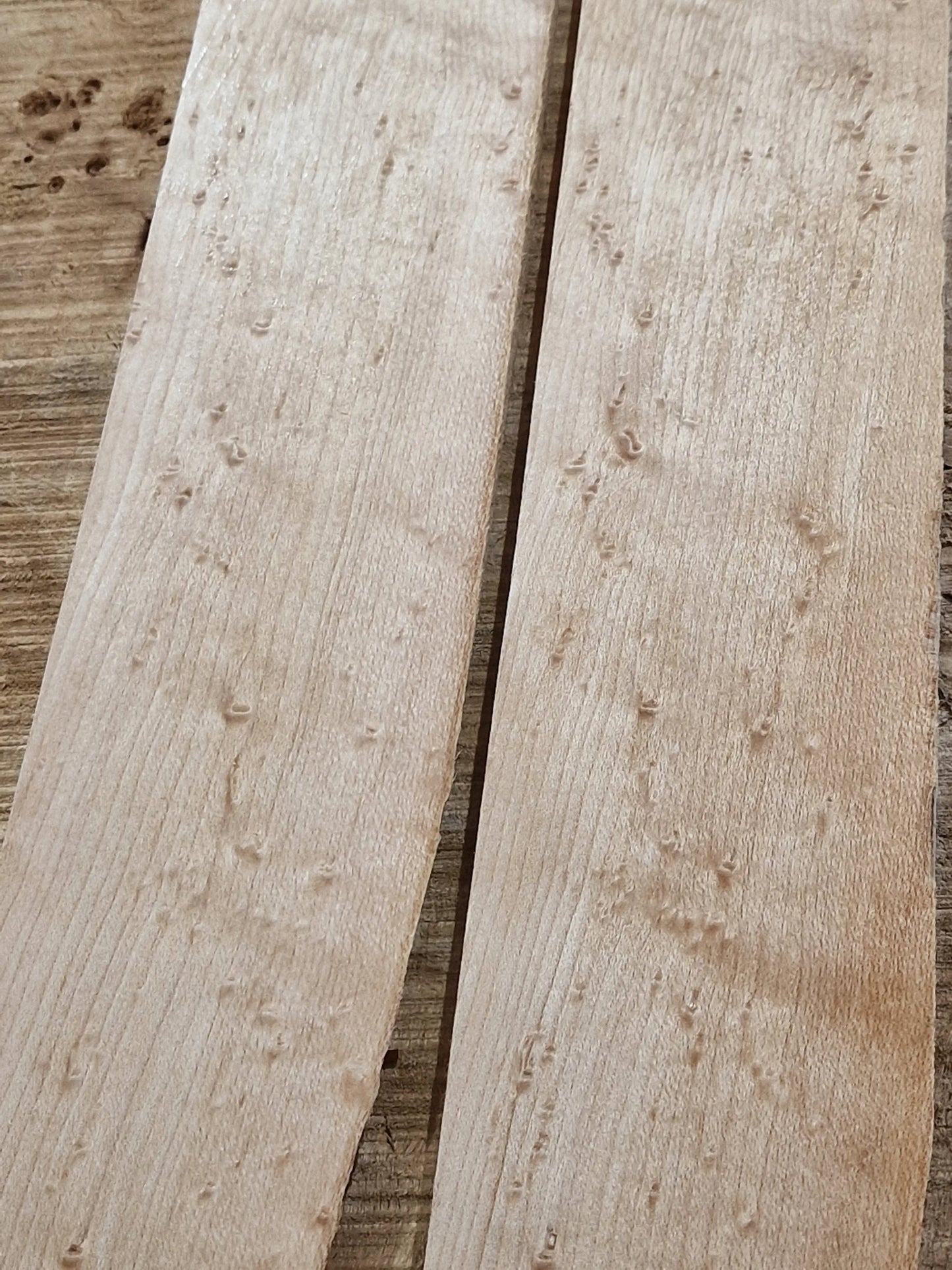 Griffbrett Birdeye Maple Bass 010925