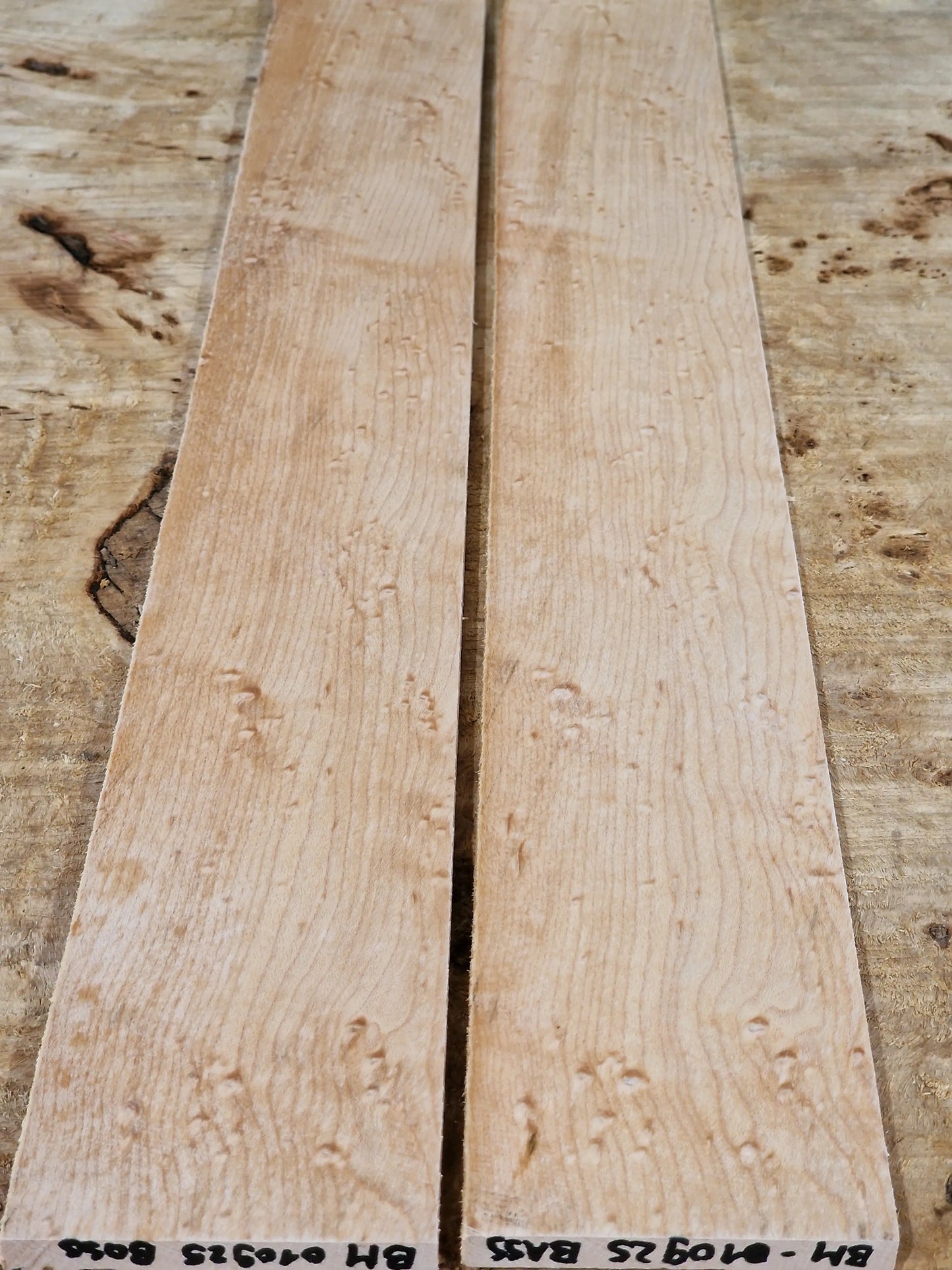 Griffbrett Birdeye Maple Bass 010925