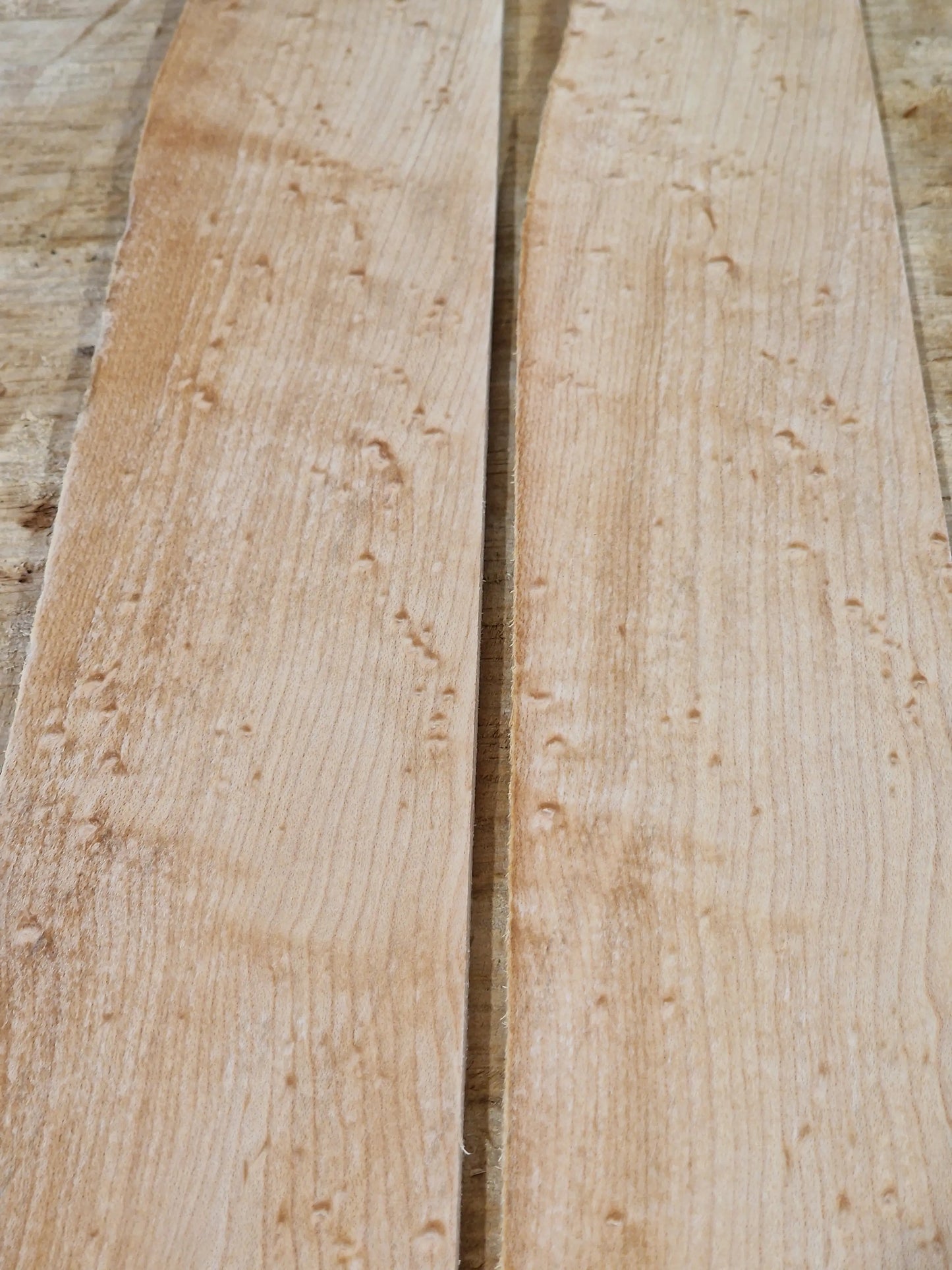 Griffbrett Birdeye Maple Bass 010925
