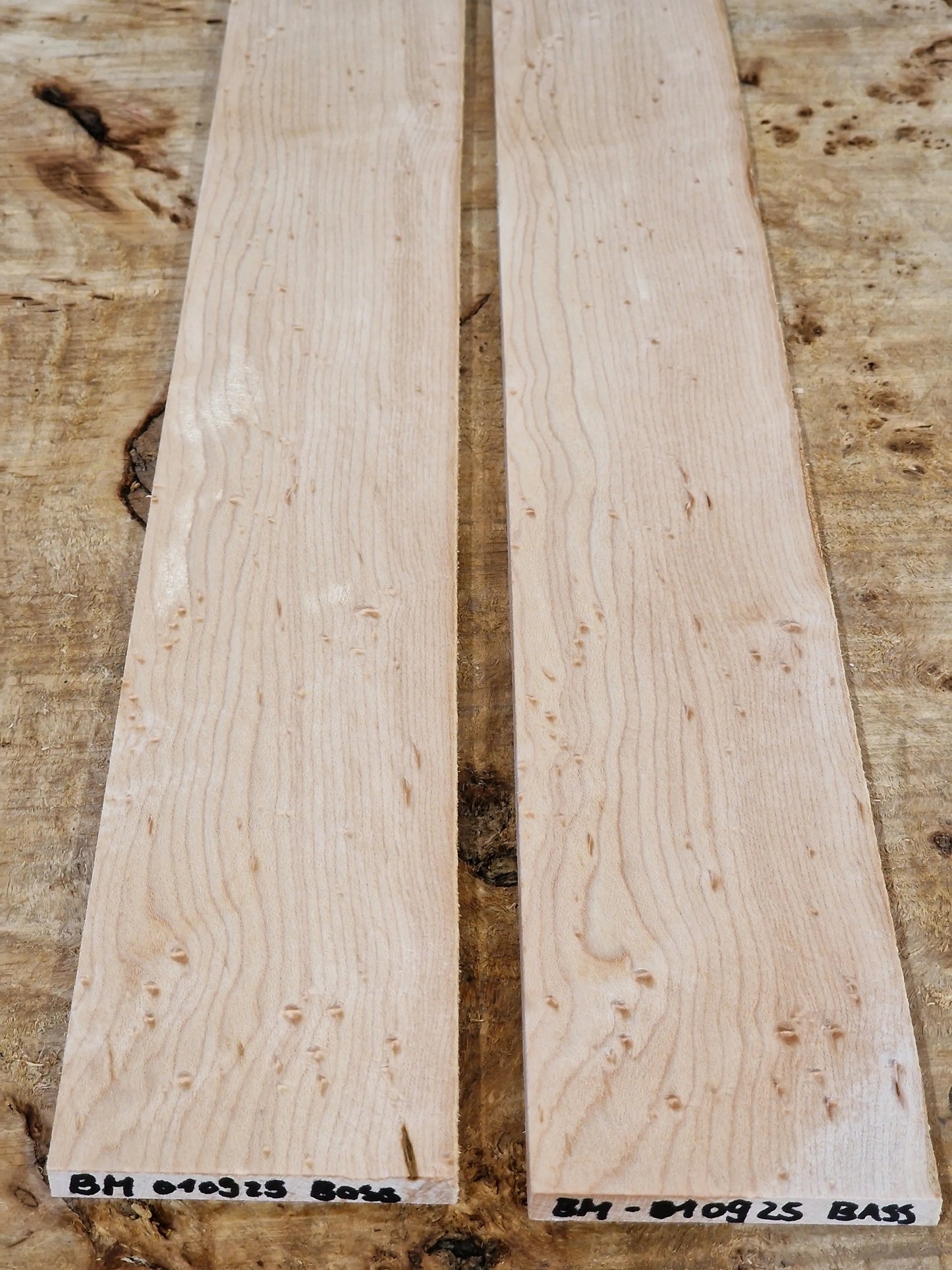 Griffbrett Birdeye Maple Bass 010925
