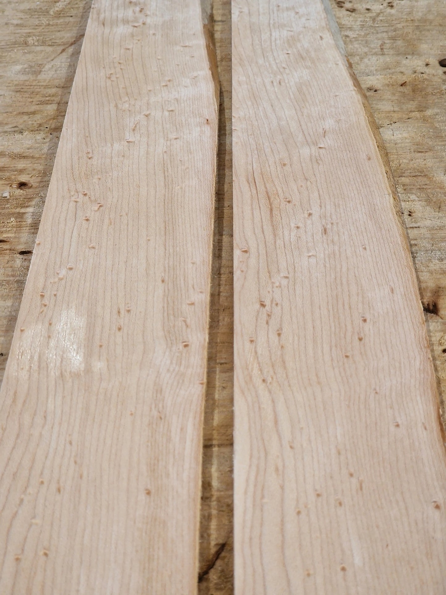 Griffbrett Birdeye Maple Bass 010925