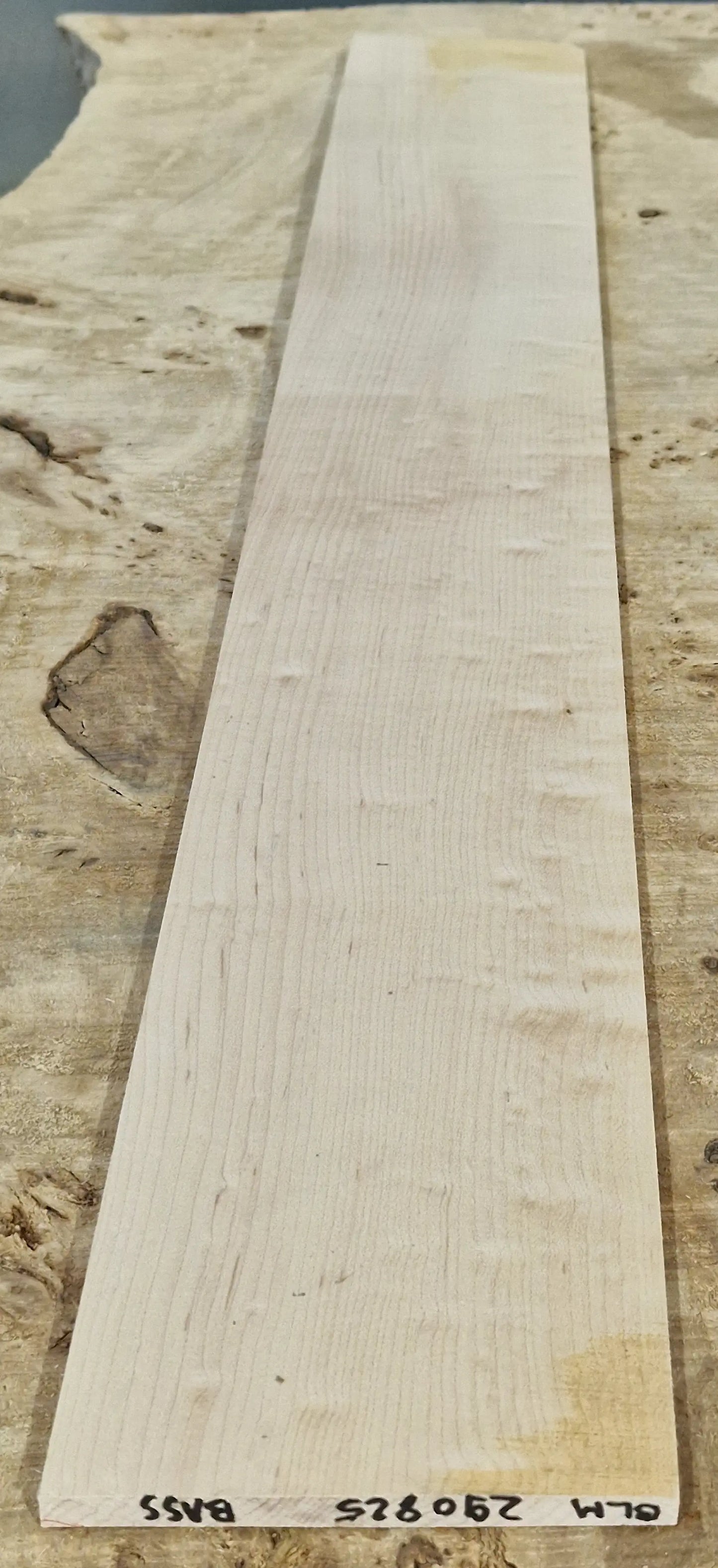 Griffbrett Blister Maple 290825 Bass