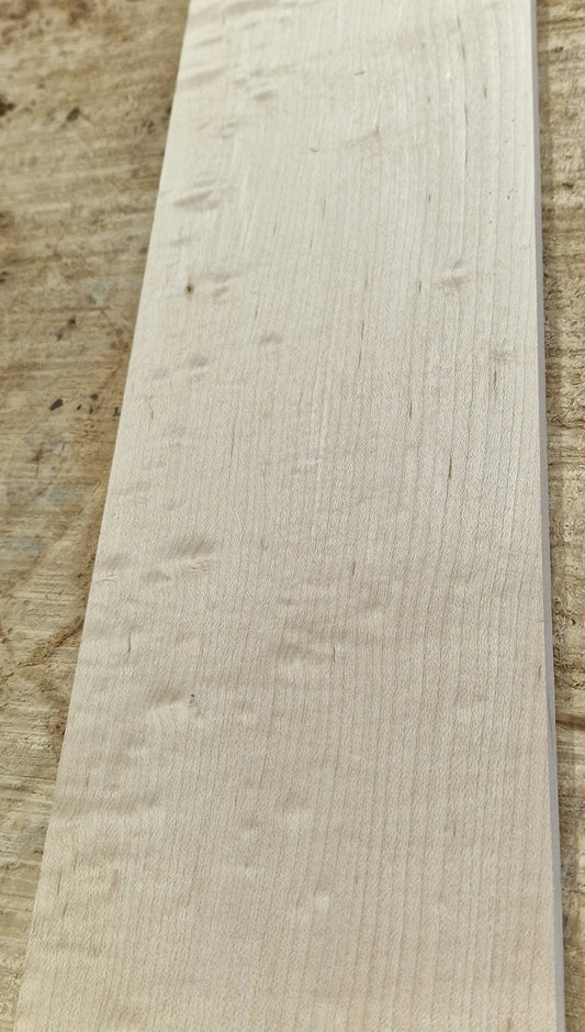 Griffbrett Blister Maple 290825 Bass