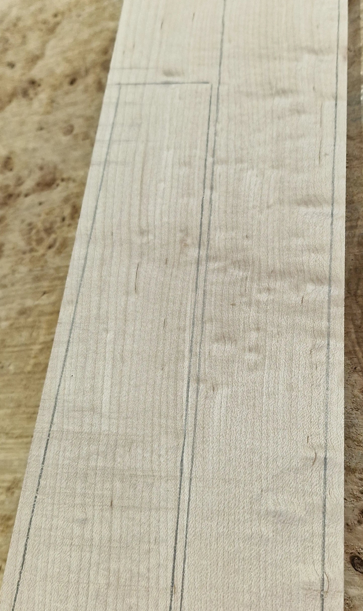 Griffbrett Blister Maple 290825 Bass