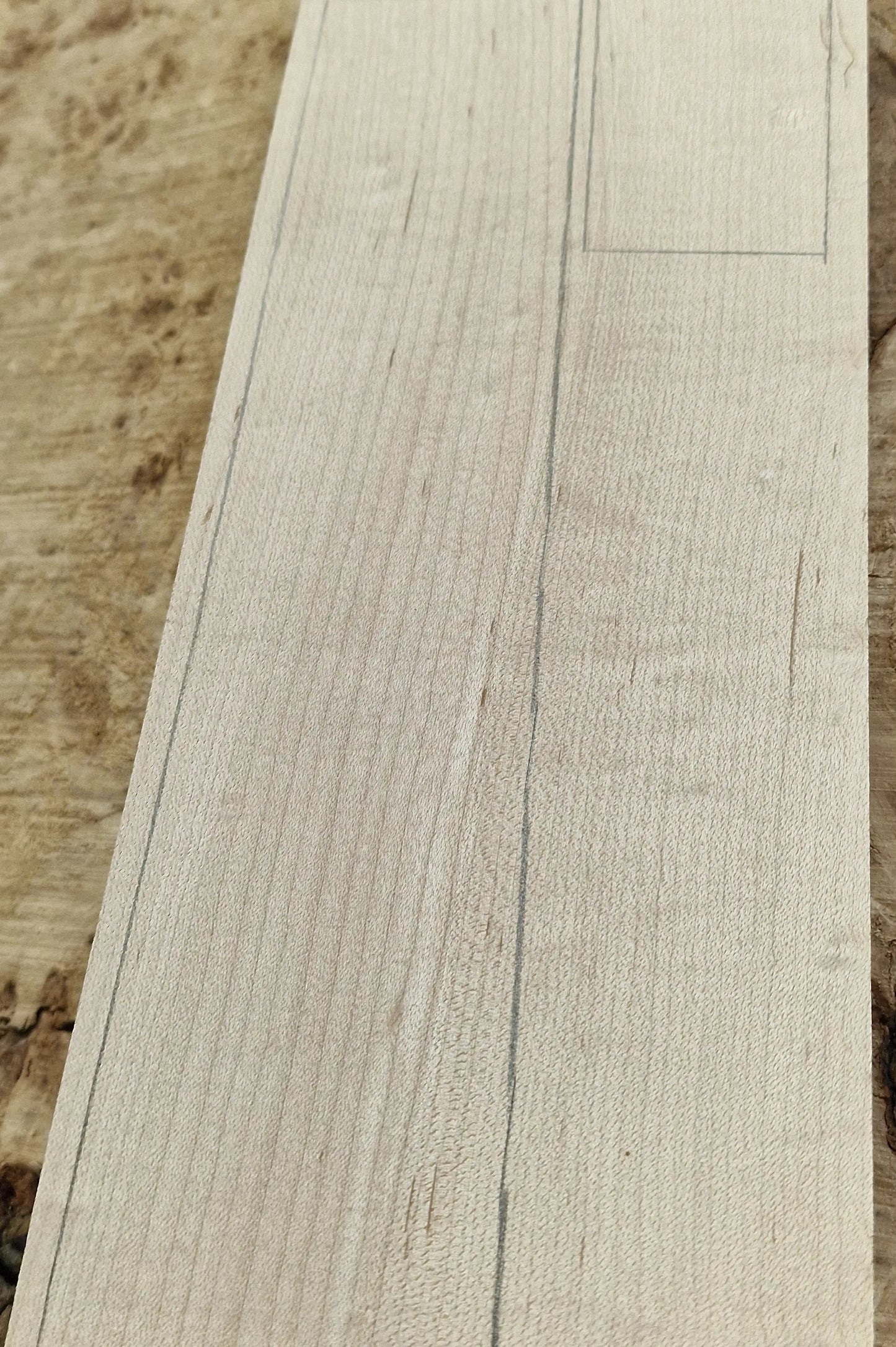 Griffbrett Blister Maple 290825 Bass
