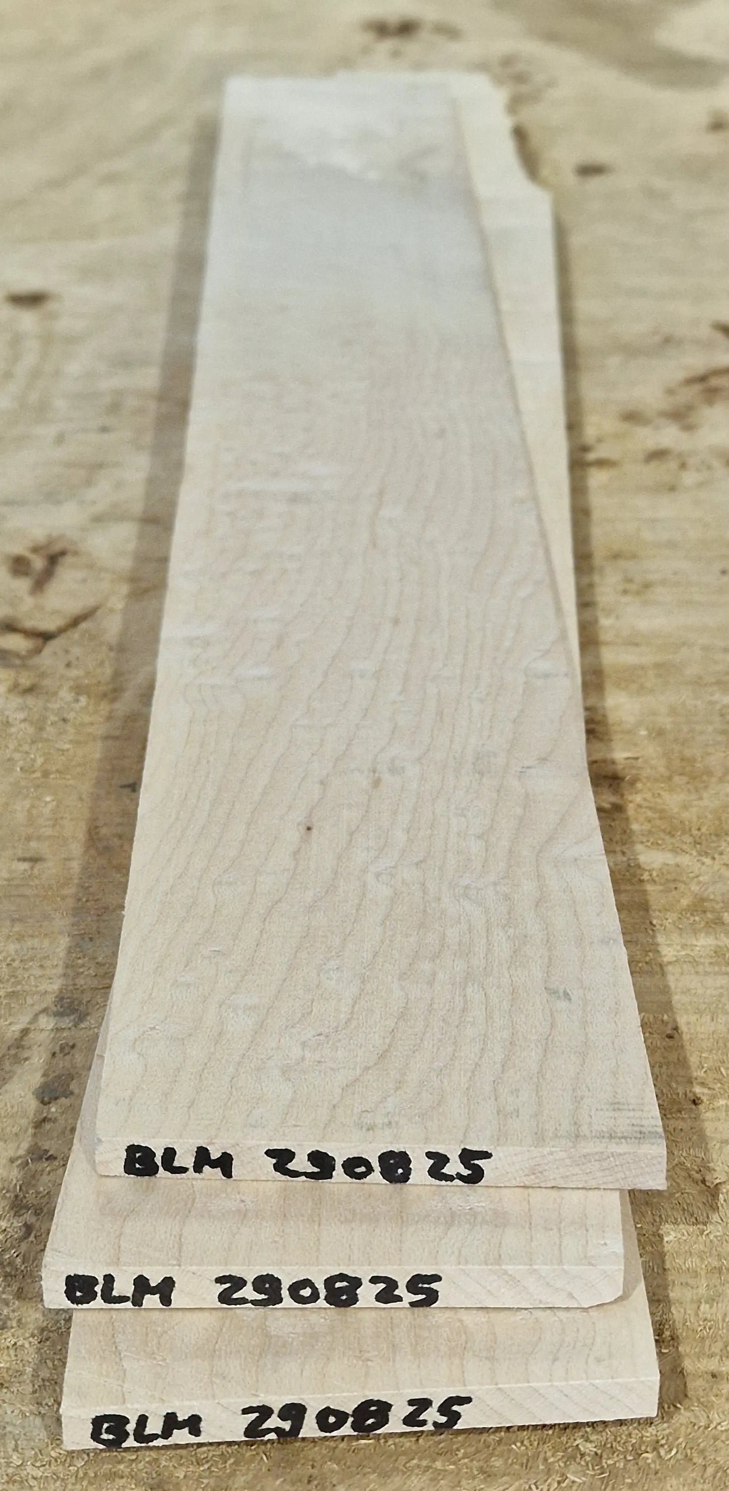 Griffbrett Blister Maple 290825
