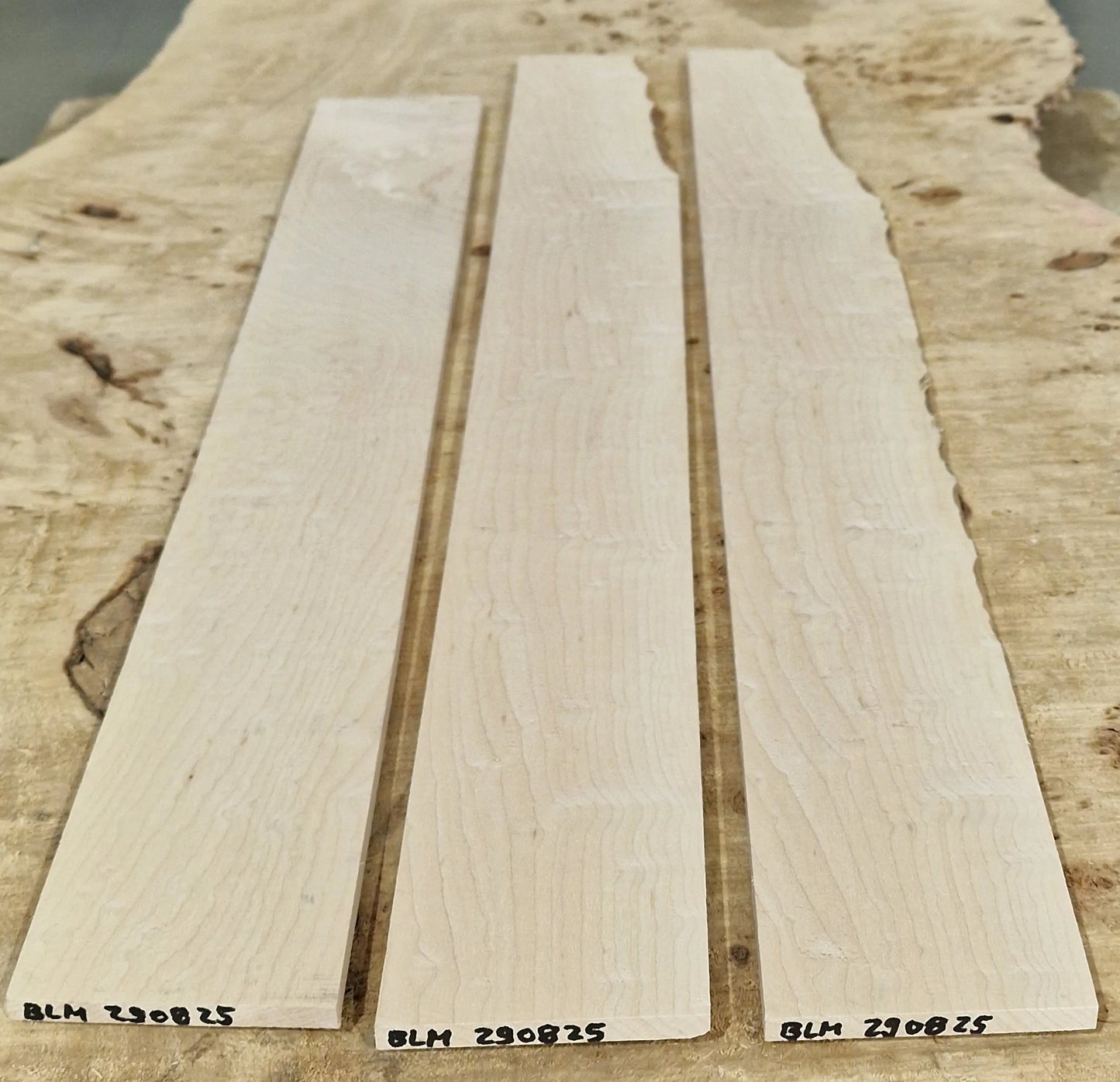 Griffbrett Blister Maple 290825