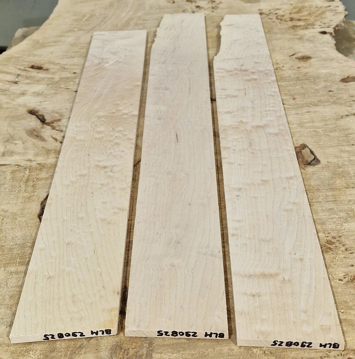 Griffbrett Blister Maple 290825