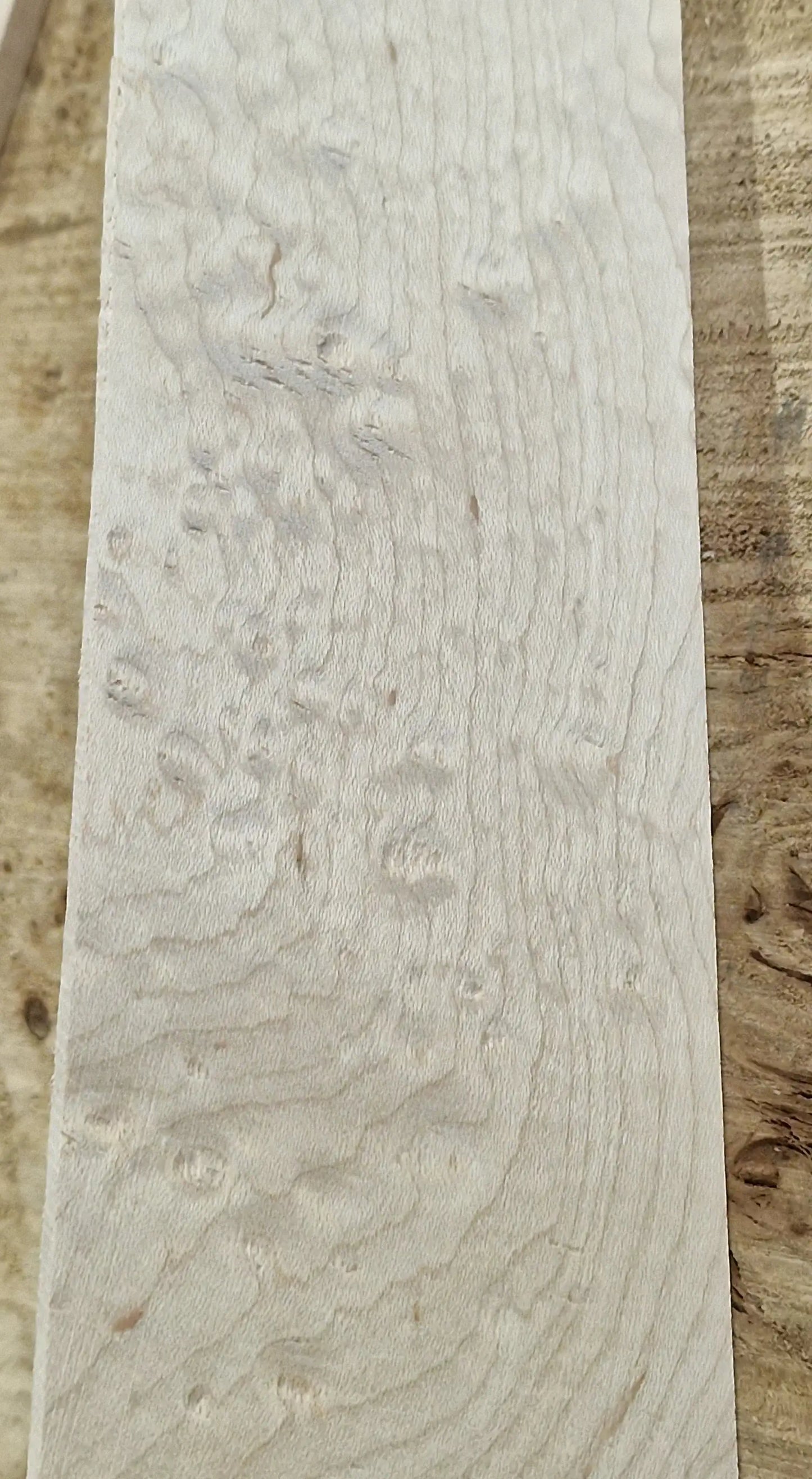 Griffbrett Blister Maple 290825