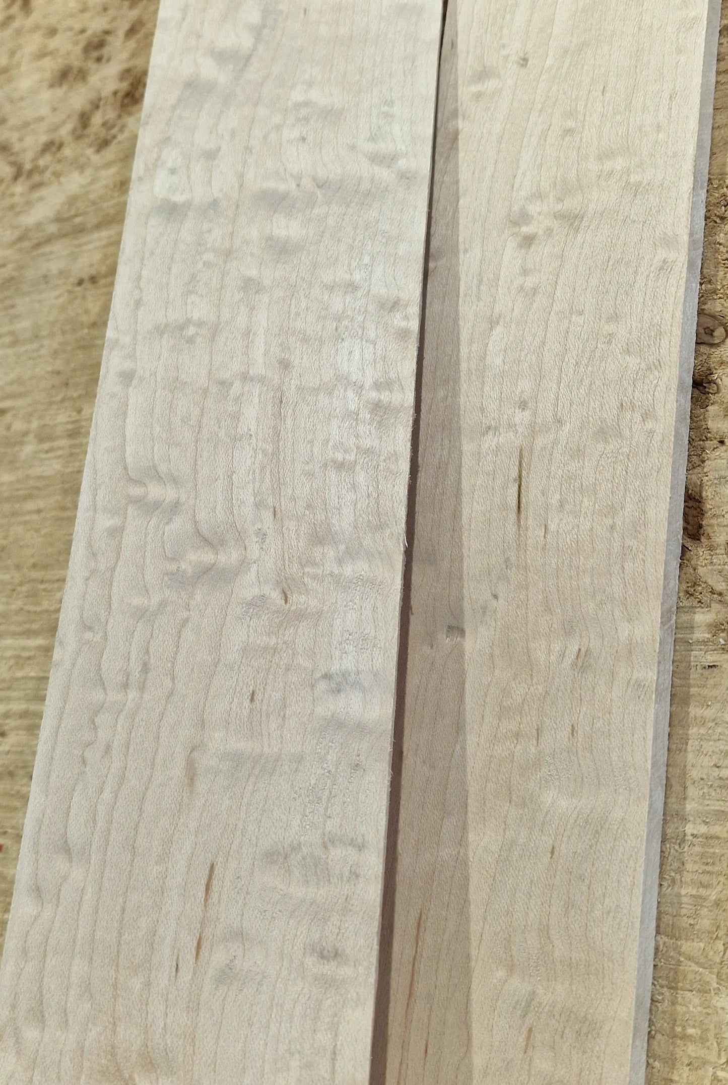 Griffbrett Blister Maple 290825