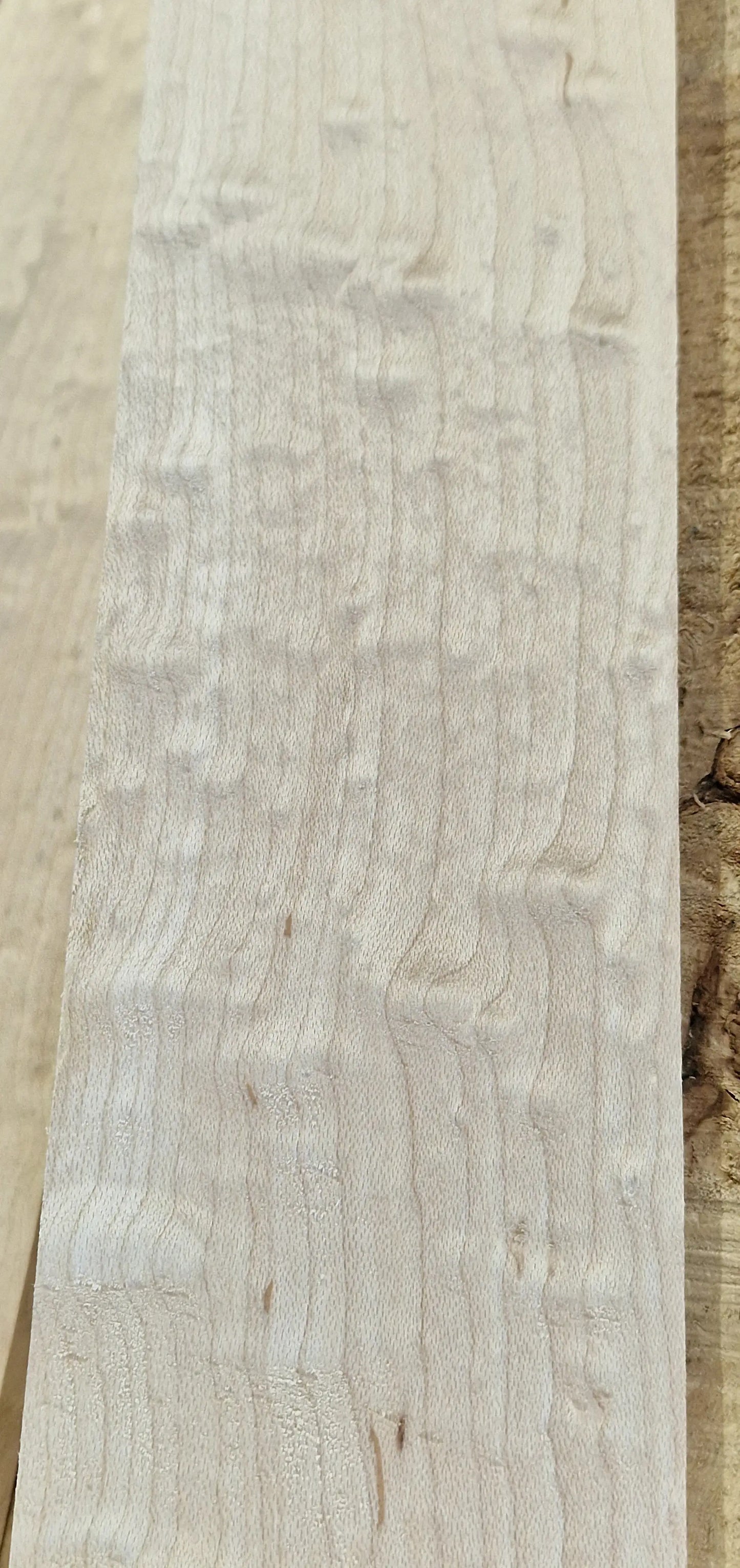 Griffbrett Blister Maple 290825