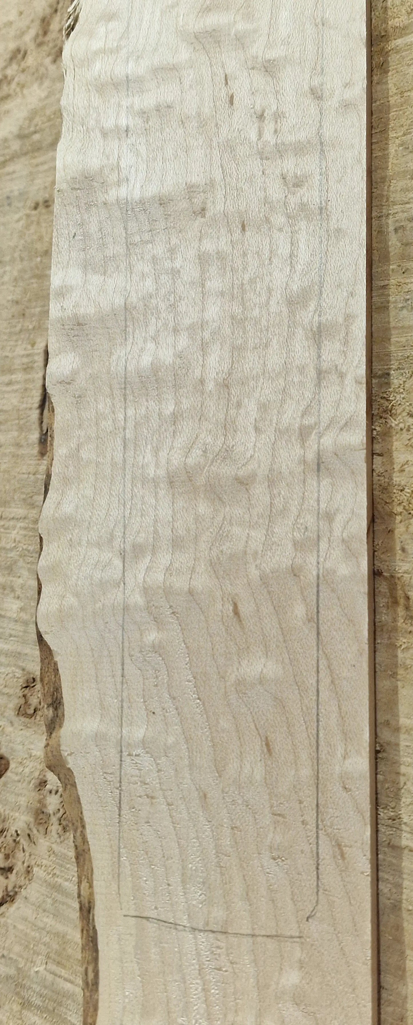 Griffbrett Blister Maple 290825