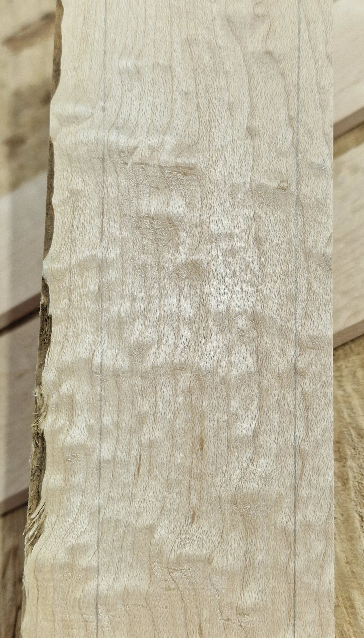 Griffbrett Blister Maple 290825