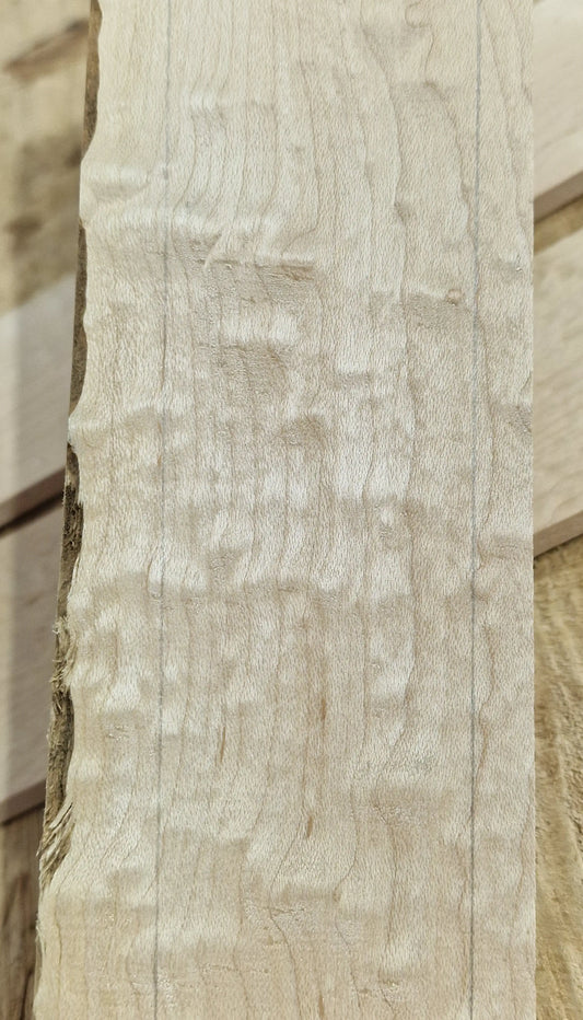 Griffbrett Blister Maple 290825