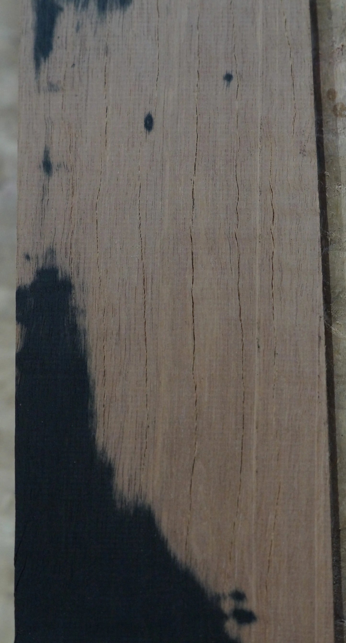Griffbrett Ebenholz 070725-2 Bass B-Ware