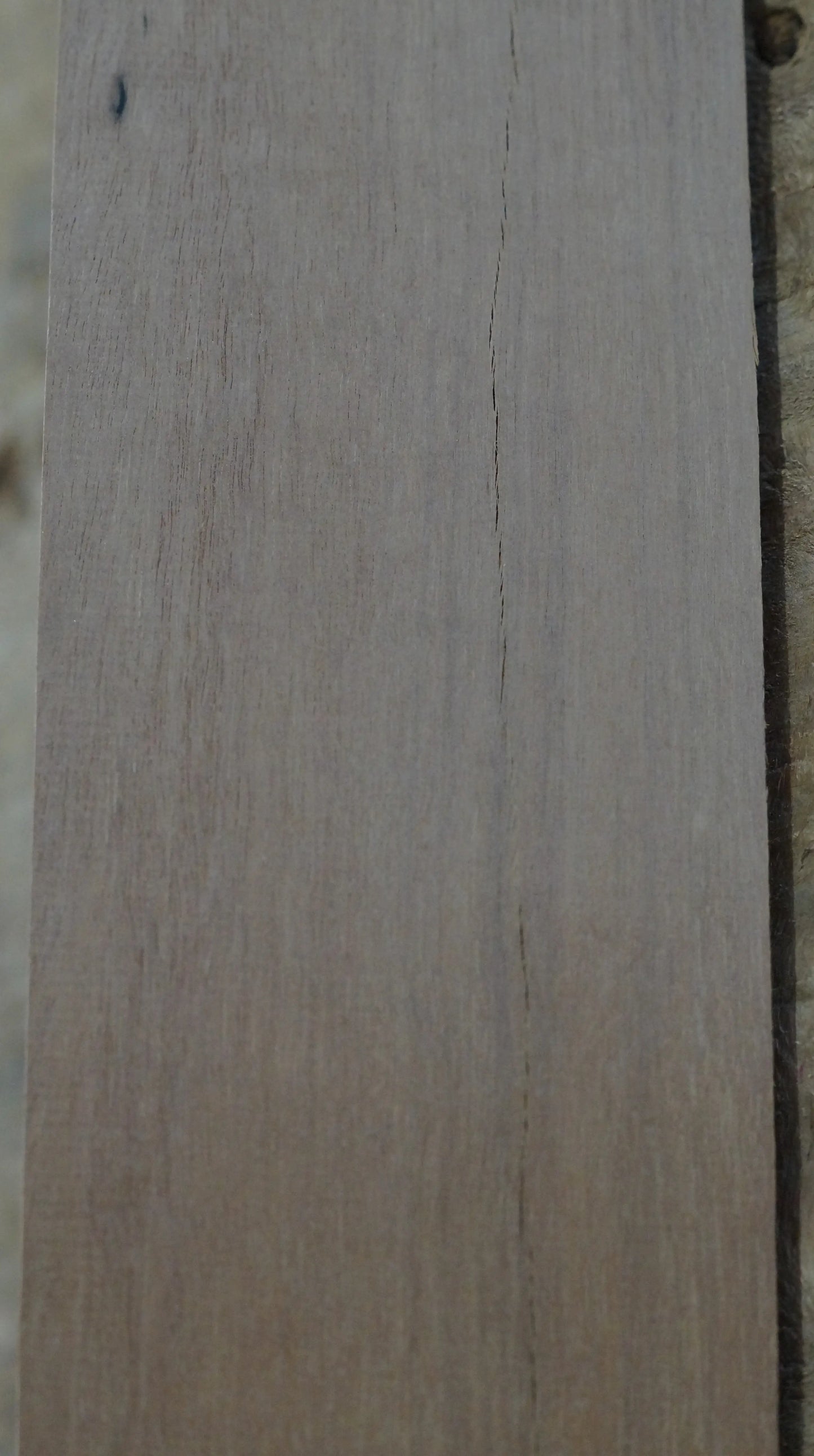 Griffbrett Ebenholz 070725-3 Bass B-Ware
