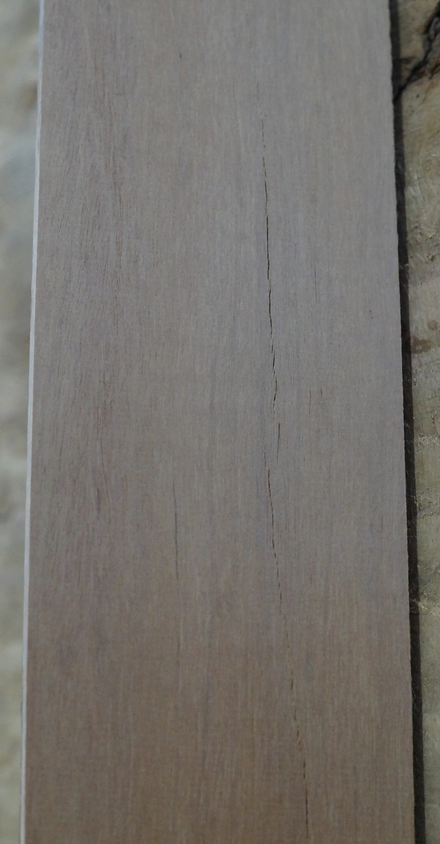 Griffbrett Ebenholz 070725-3 Bass B-Ware
