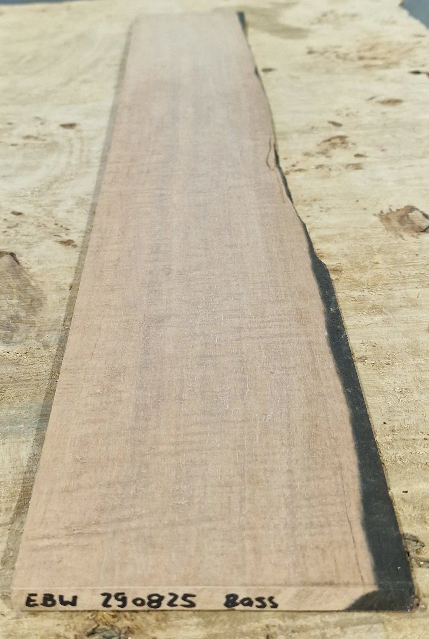 Griffbrett Ebenholz Weiß 290825 Bass