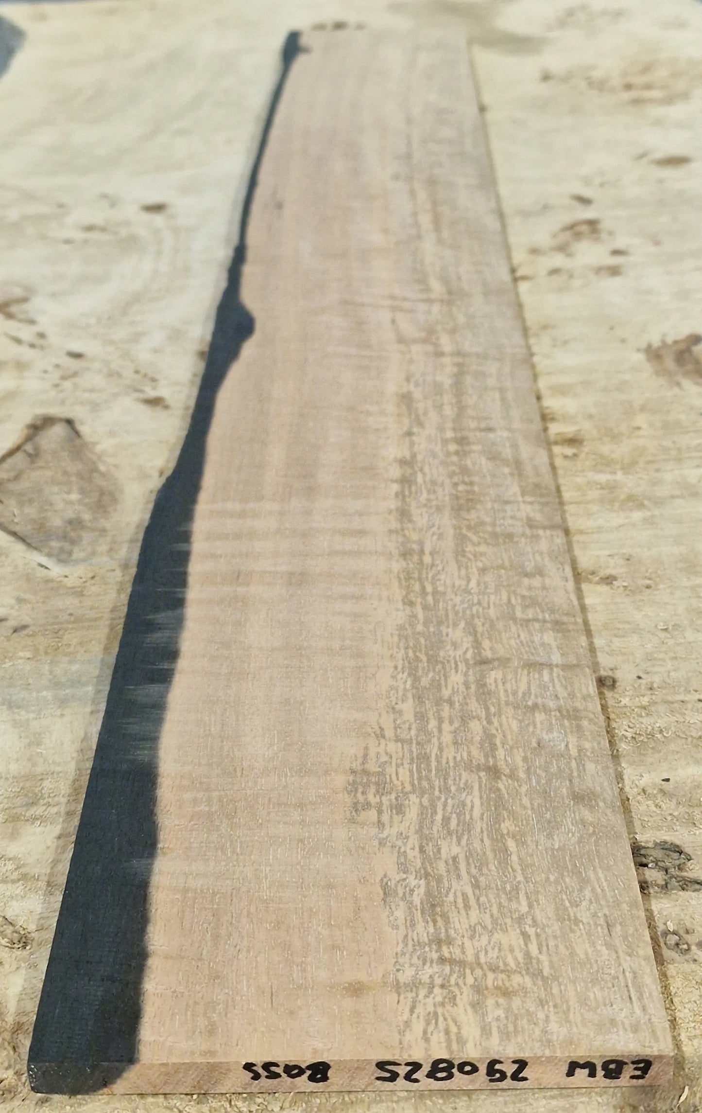 Griffbrett Ebenholz Weiß 290825 Bass