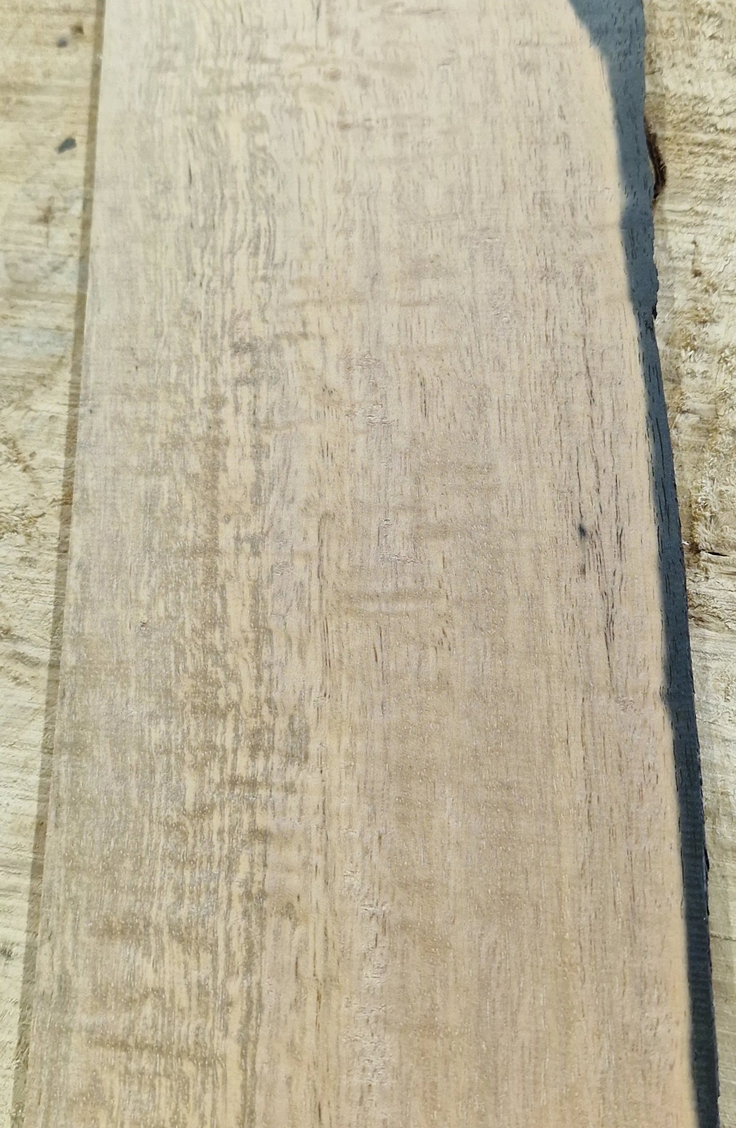 Griffbrett Ebenholz Weiß 290825 Bass