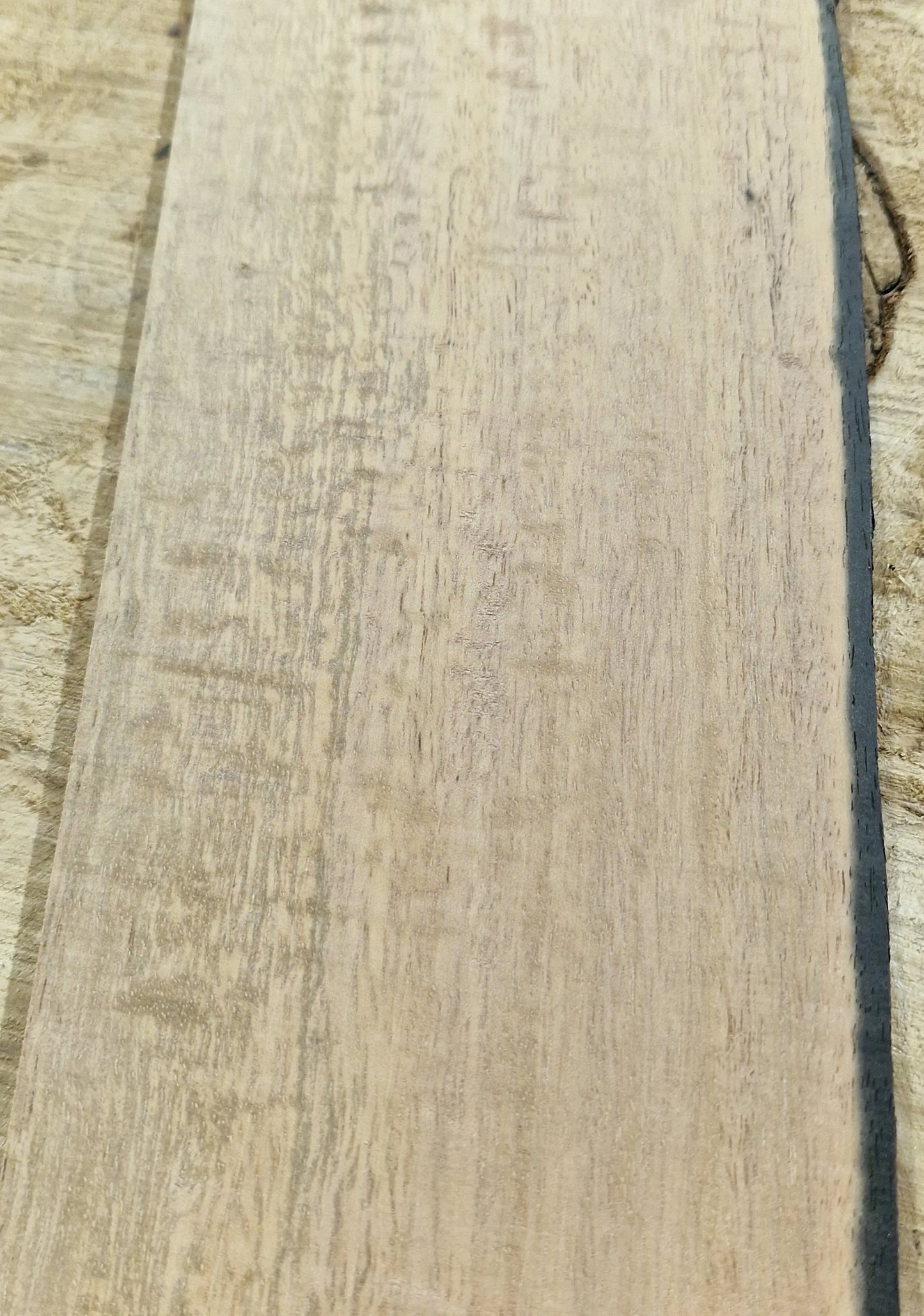 Griffbrett Ebenholz Weiß 290825 Bass