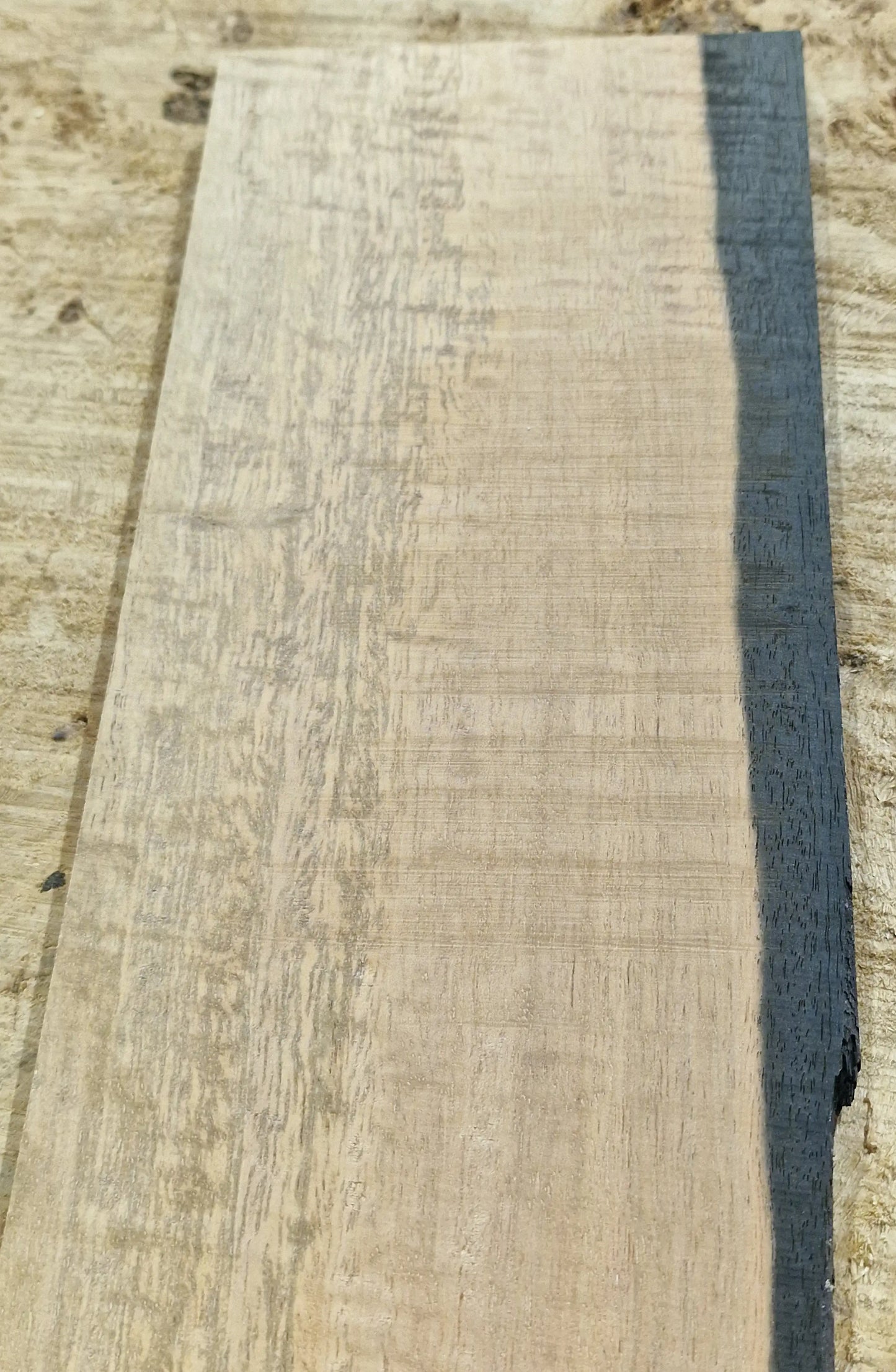 Griffbrett Ebenholz Weiß 290825 Bass