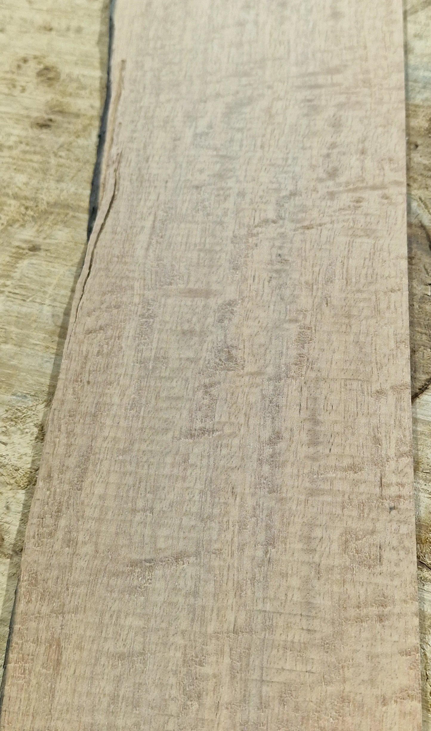 Griffbrett Ebenholz Weiß 290825 Bass