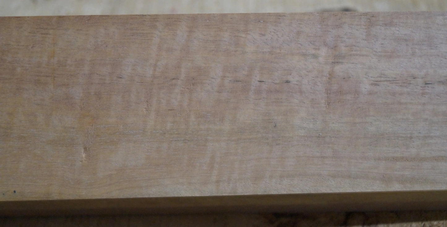 Griffbrett Ebenholz Weiß 140225 Bass