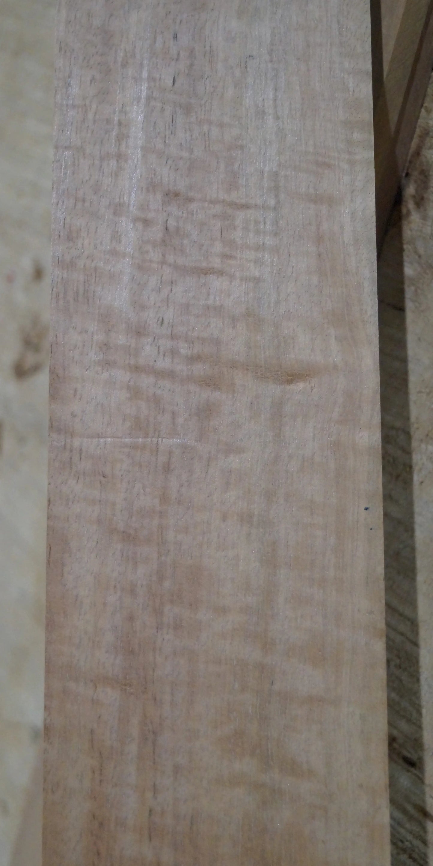Griffbrett Ebenholz Weiß 140225 Bass