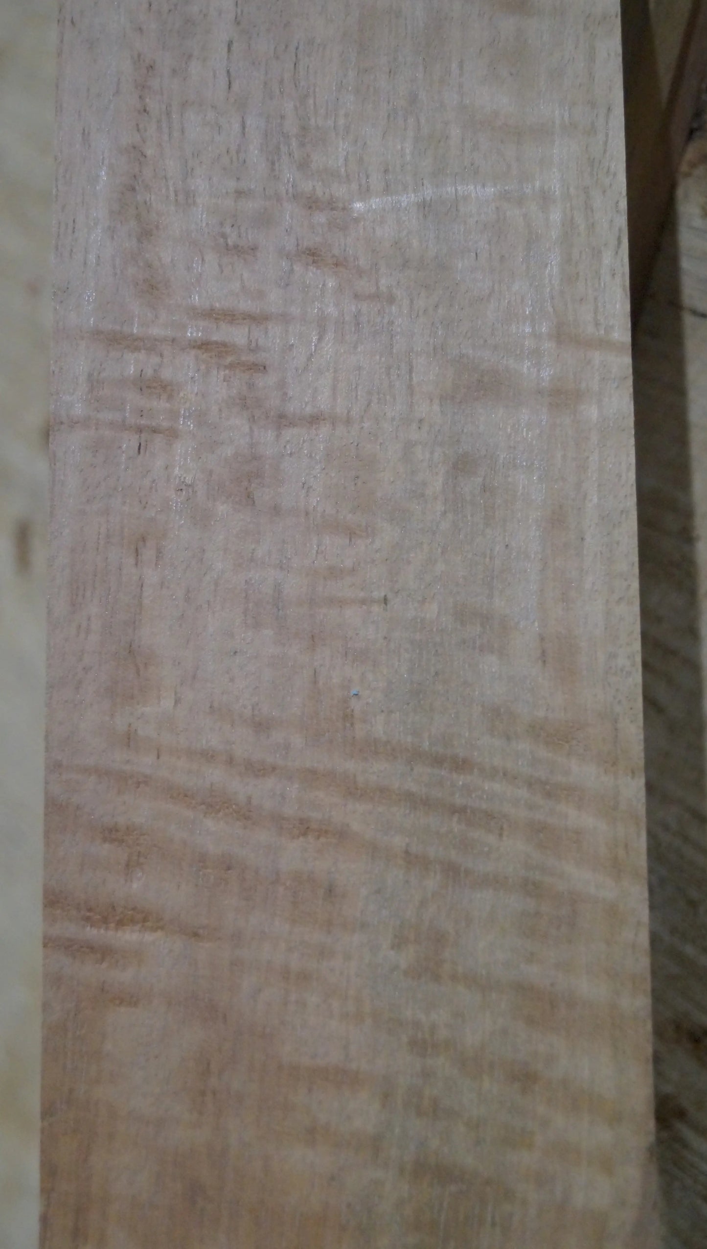 Griffbrett Ebenholz Weiß 140225 Bass