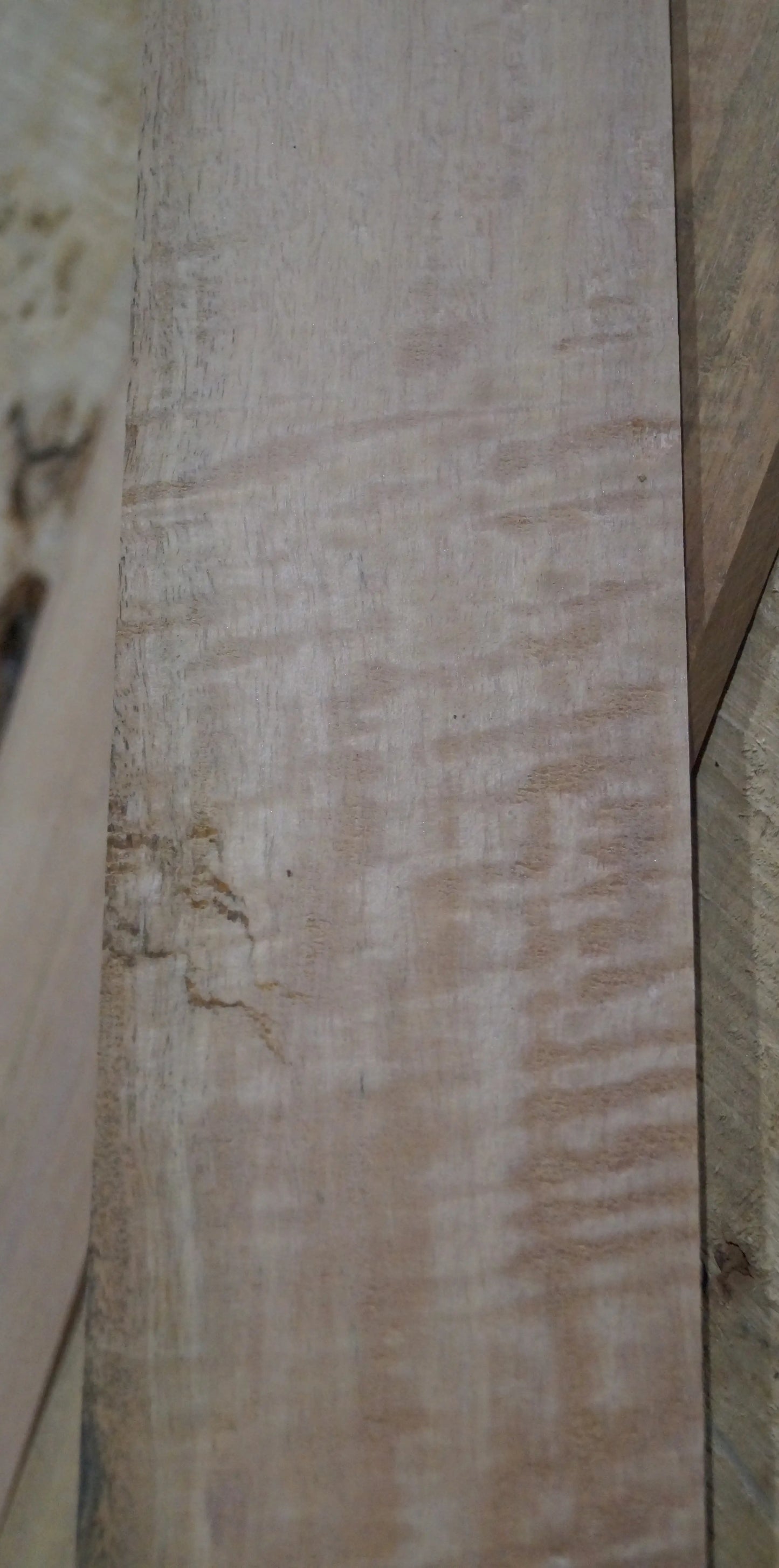 Griffbrett Ebenholz Weiß 140225 Bass
