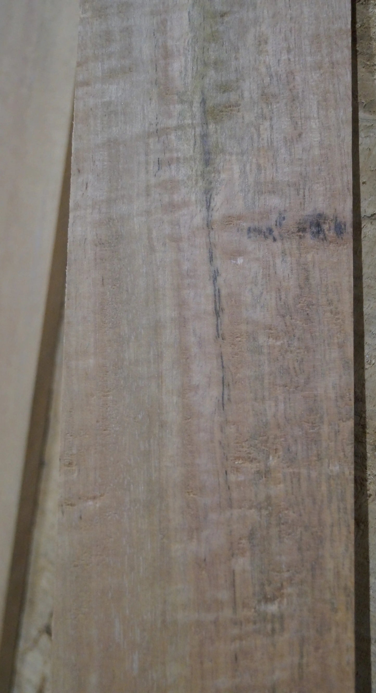 Griffbrett Ebenholz Weiß 140225 Bass