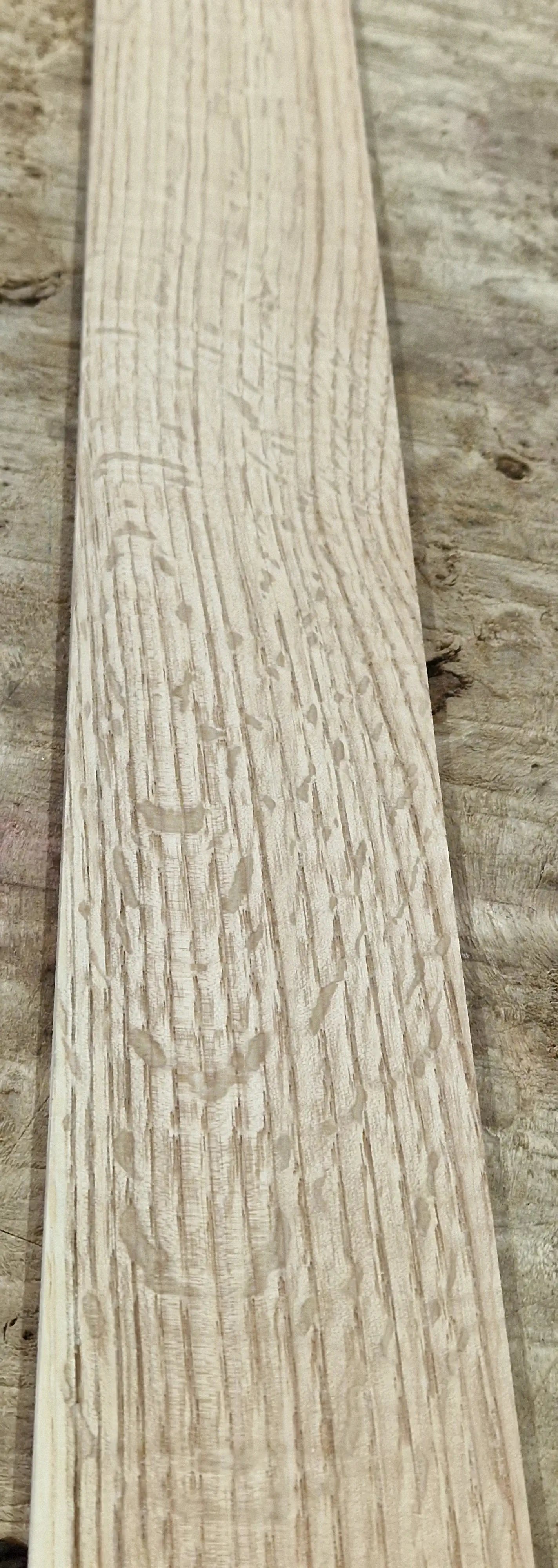 Griffbrett Eiche 040526 Bass