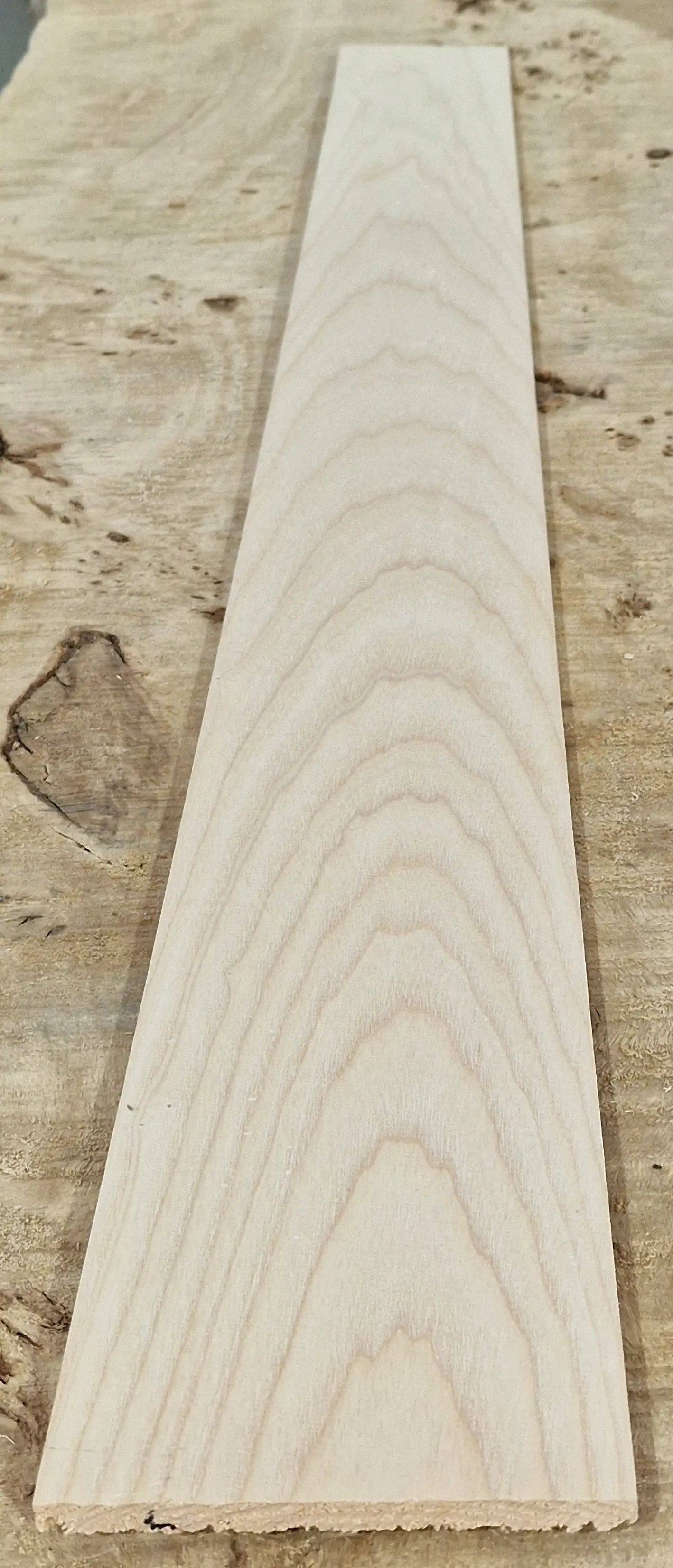 Griffbrett Esche 010925 Bass
