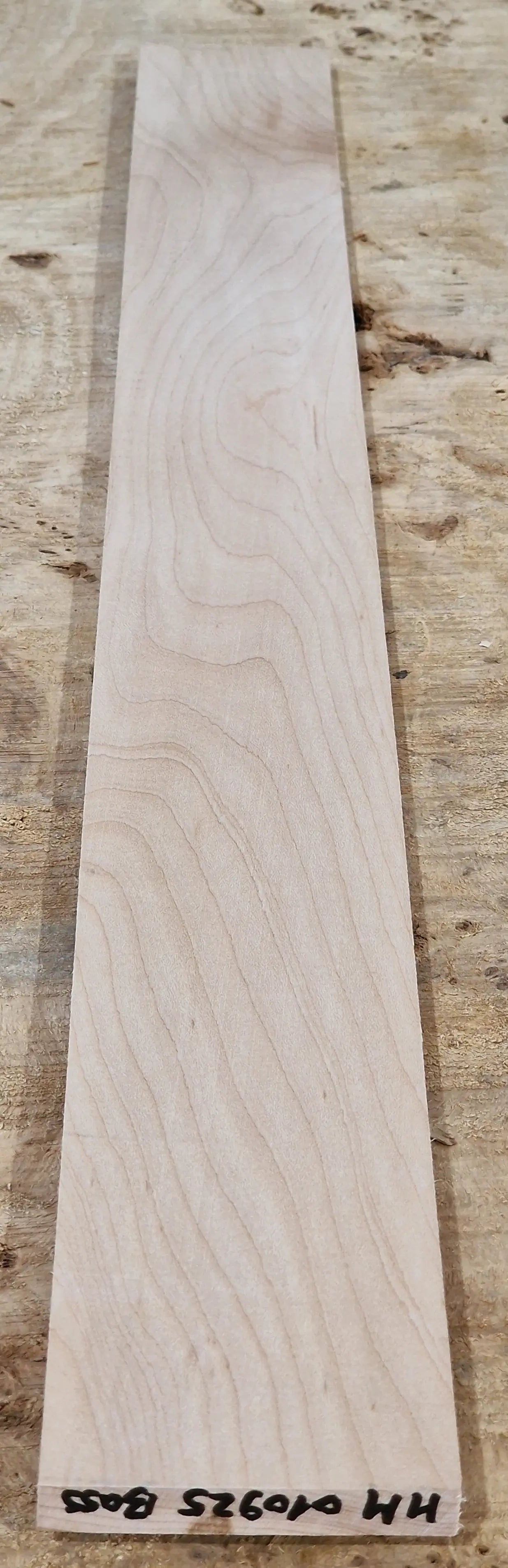 Griffbrett Hard Maple 010925 Bass