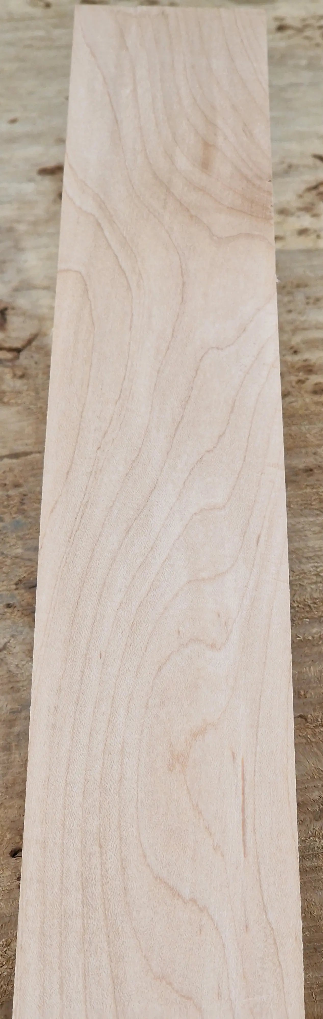 Griffbrett Hard Maple 010925 Bass