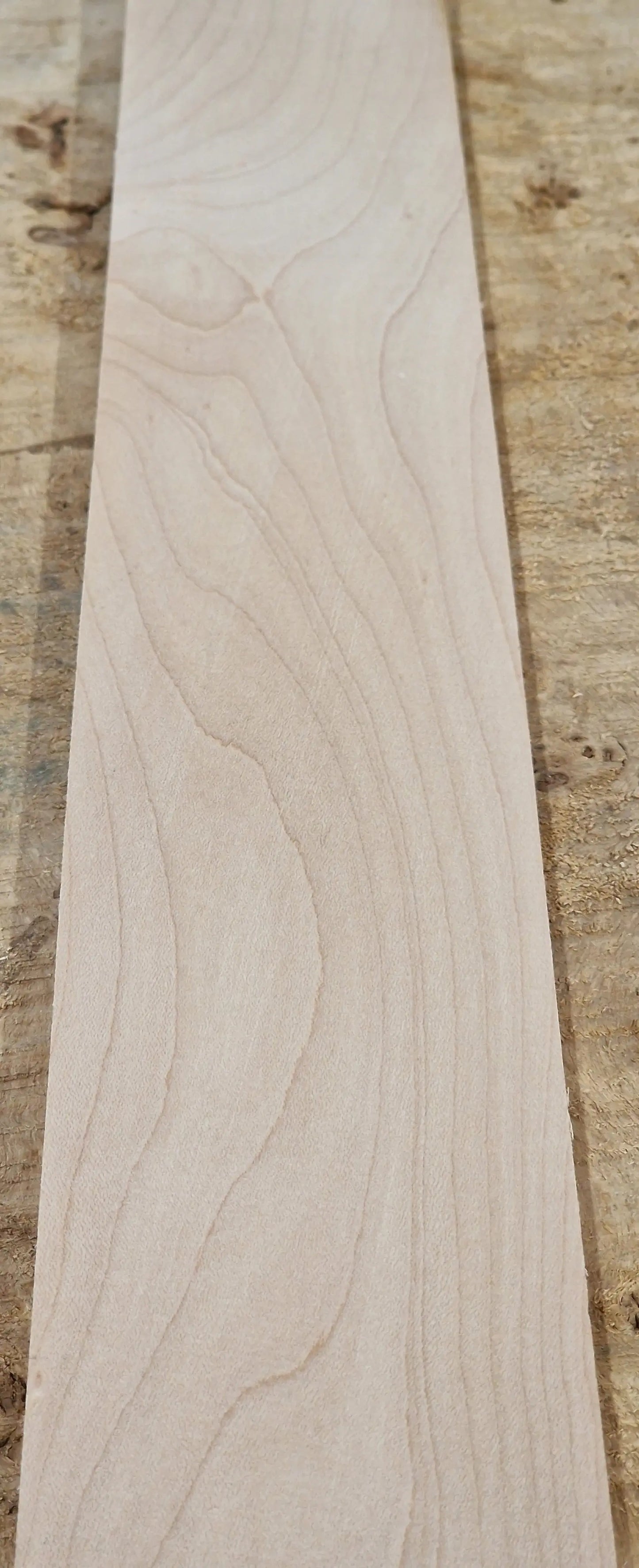 Griffbrett Hard Maple 010925 Bass