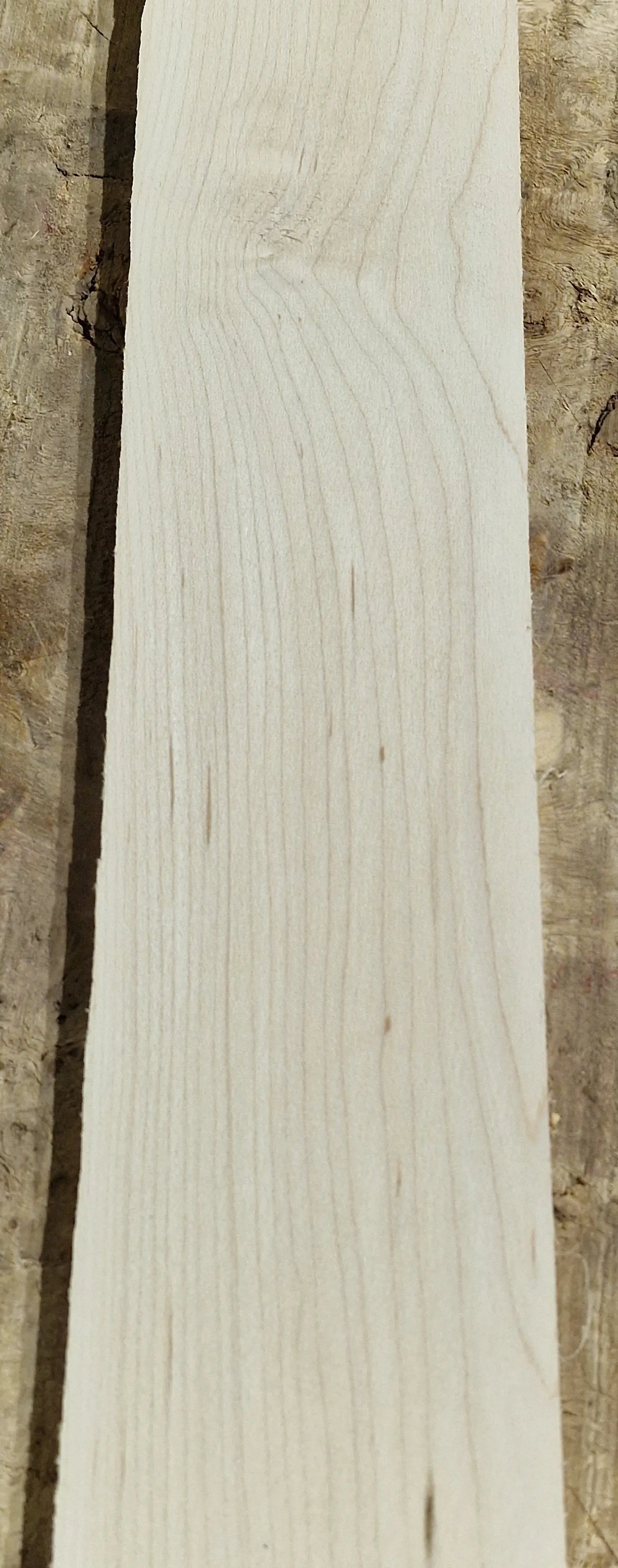 Griffbrett Hard Maple 271025