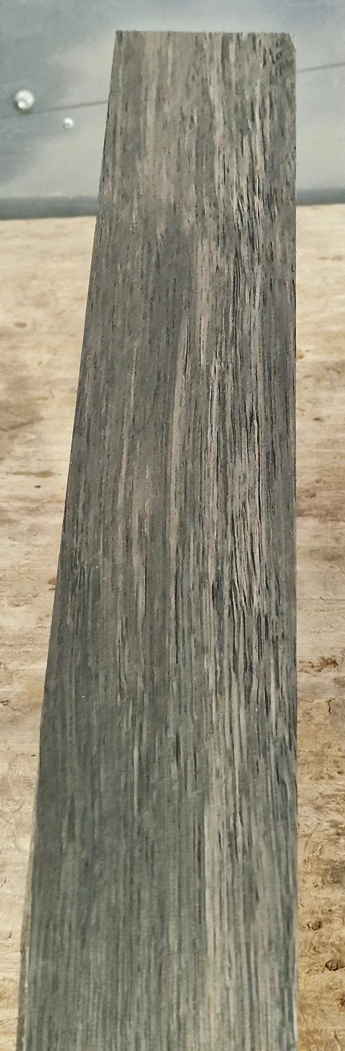 Griffbrett Mooreiche 040526-2 Bass