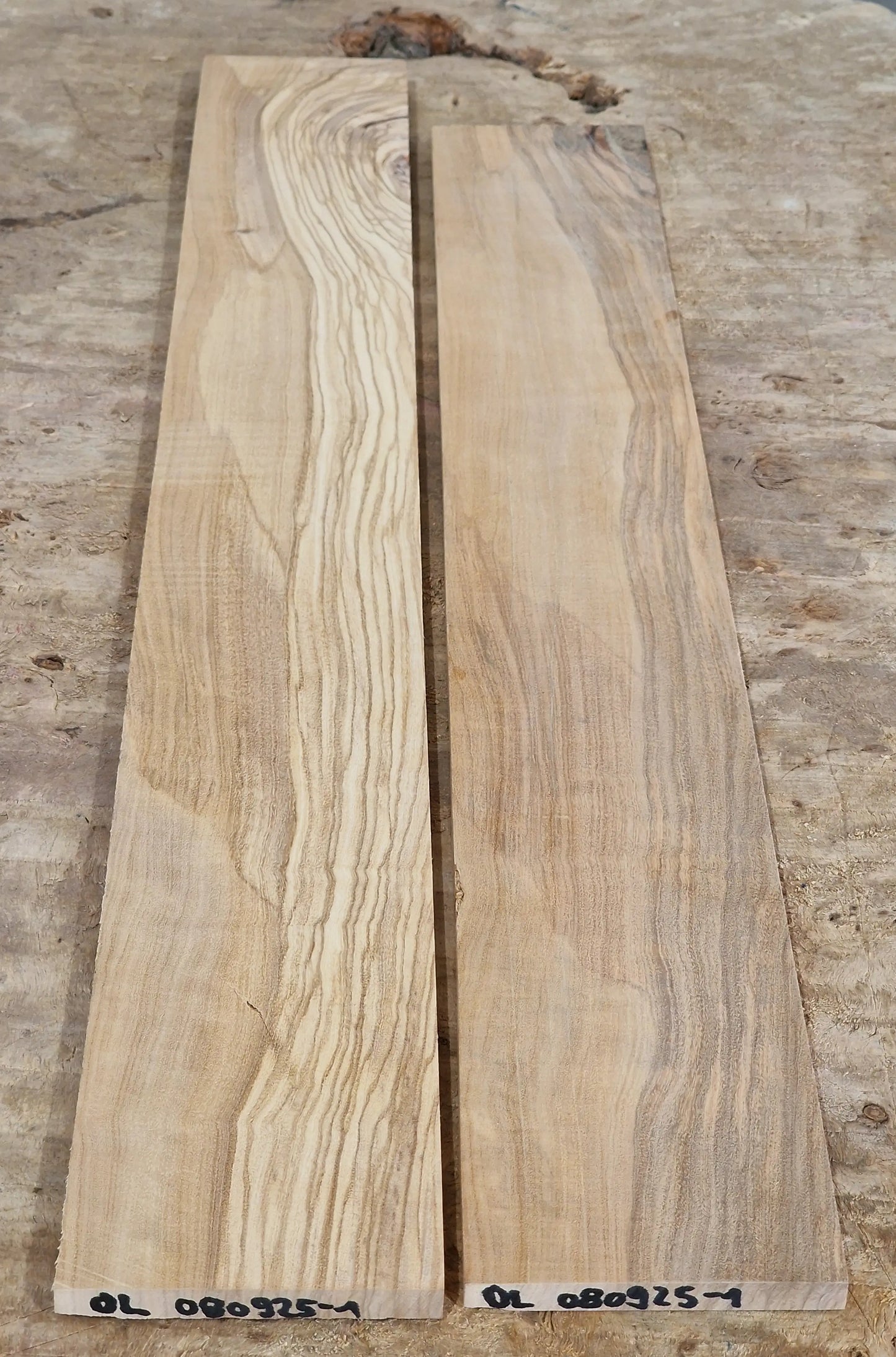 Griffbrett Olive 080925-1