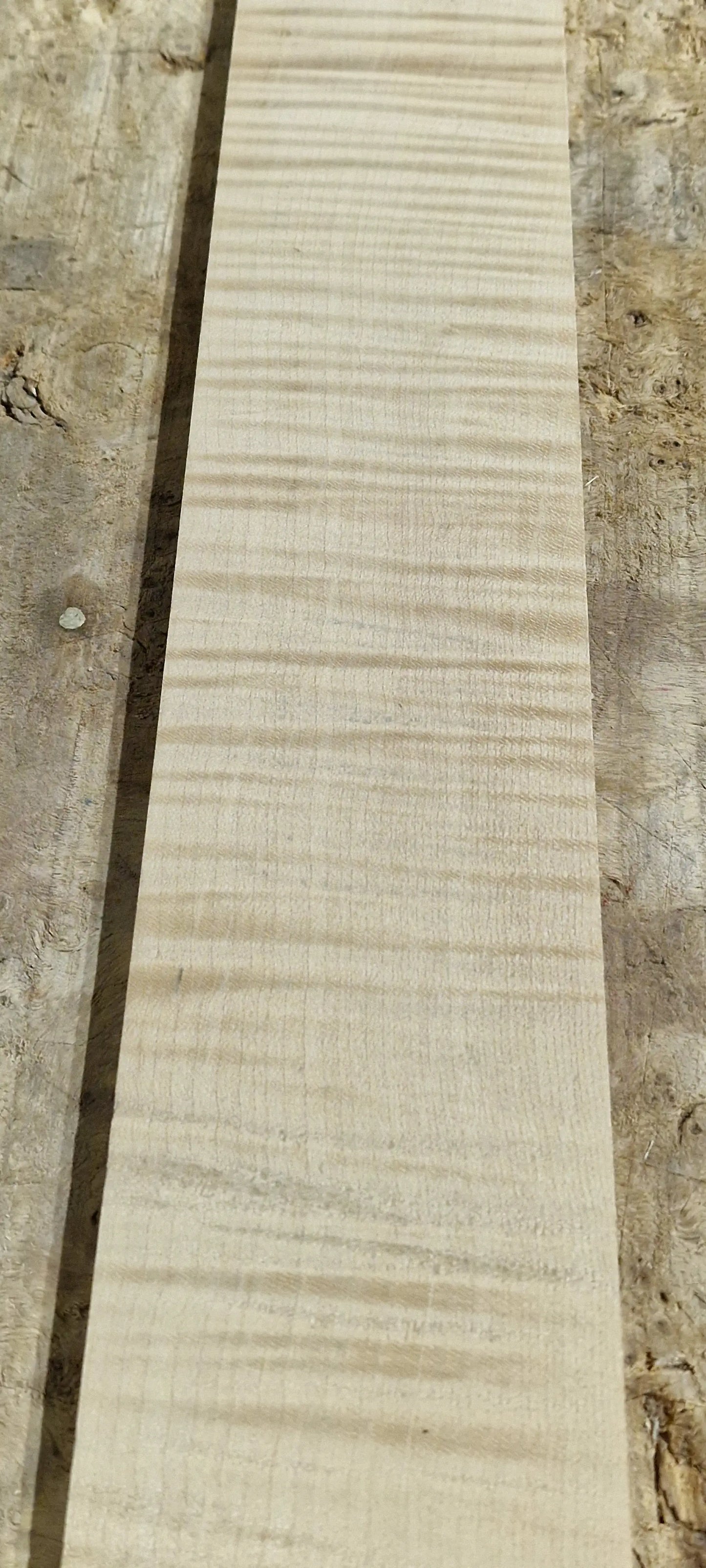 Griffbrett Riegelahorn 271025