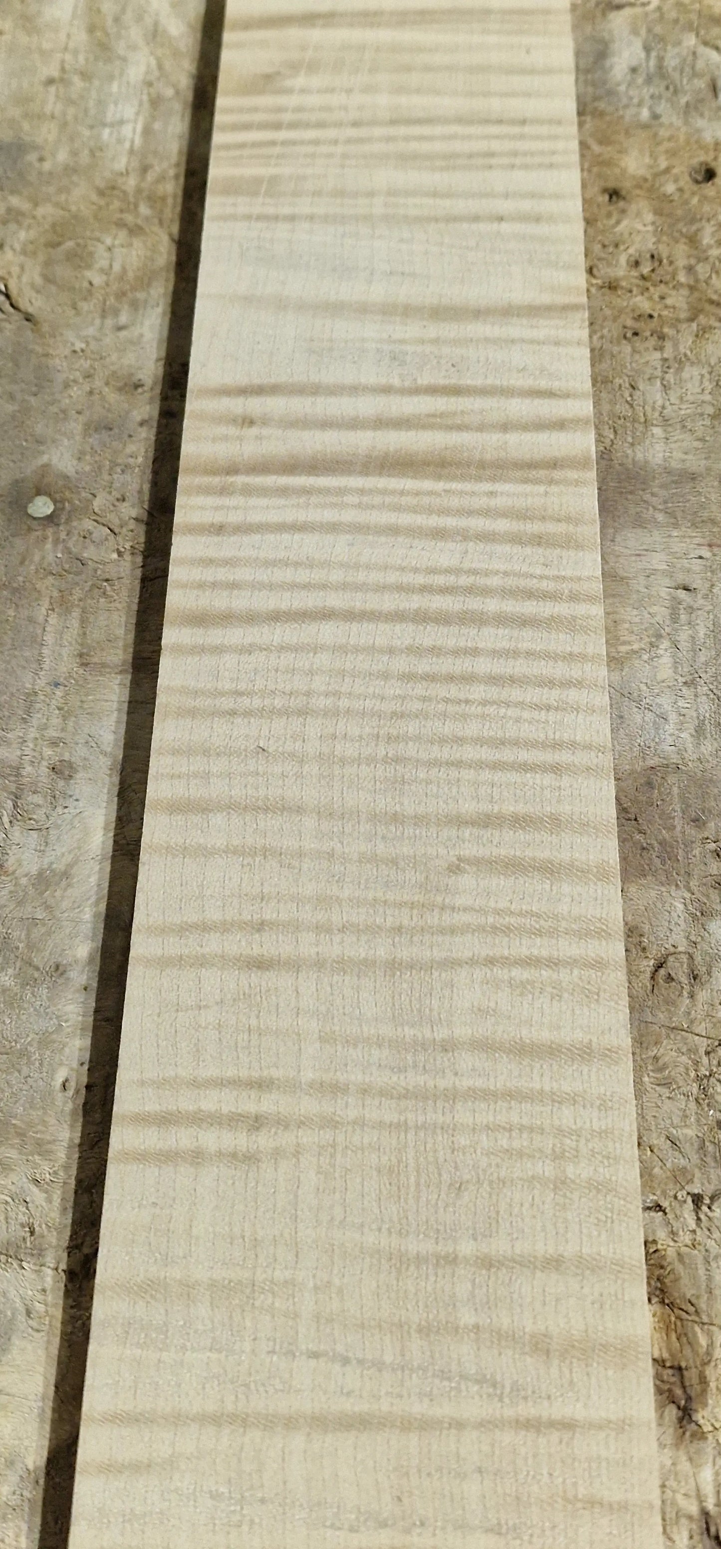 Griffbrett Riegelahorn 271025