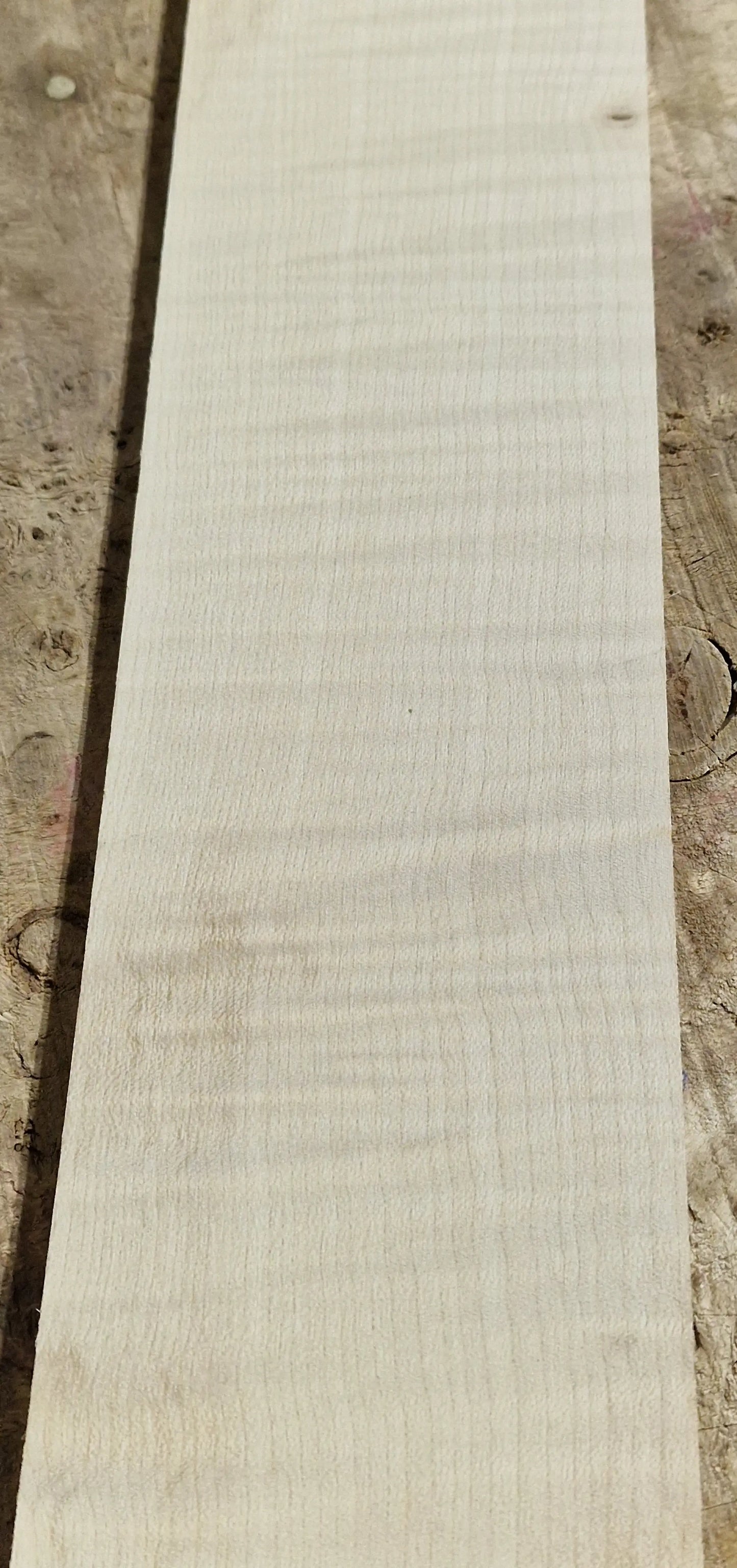 Griffbrett Riegelahorn 271025