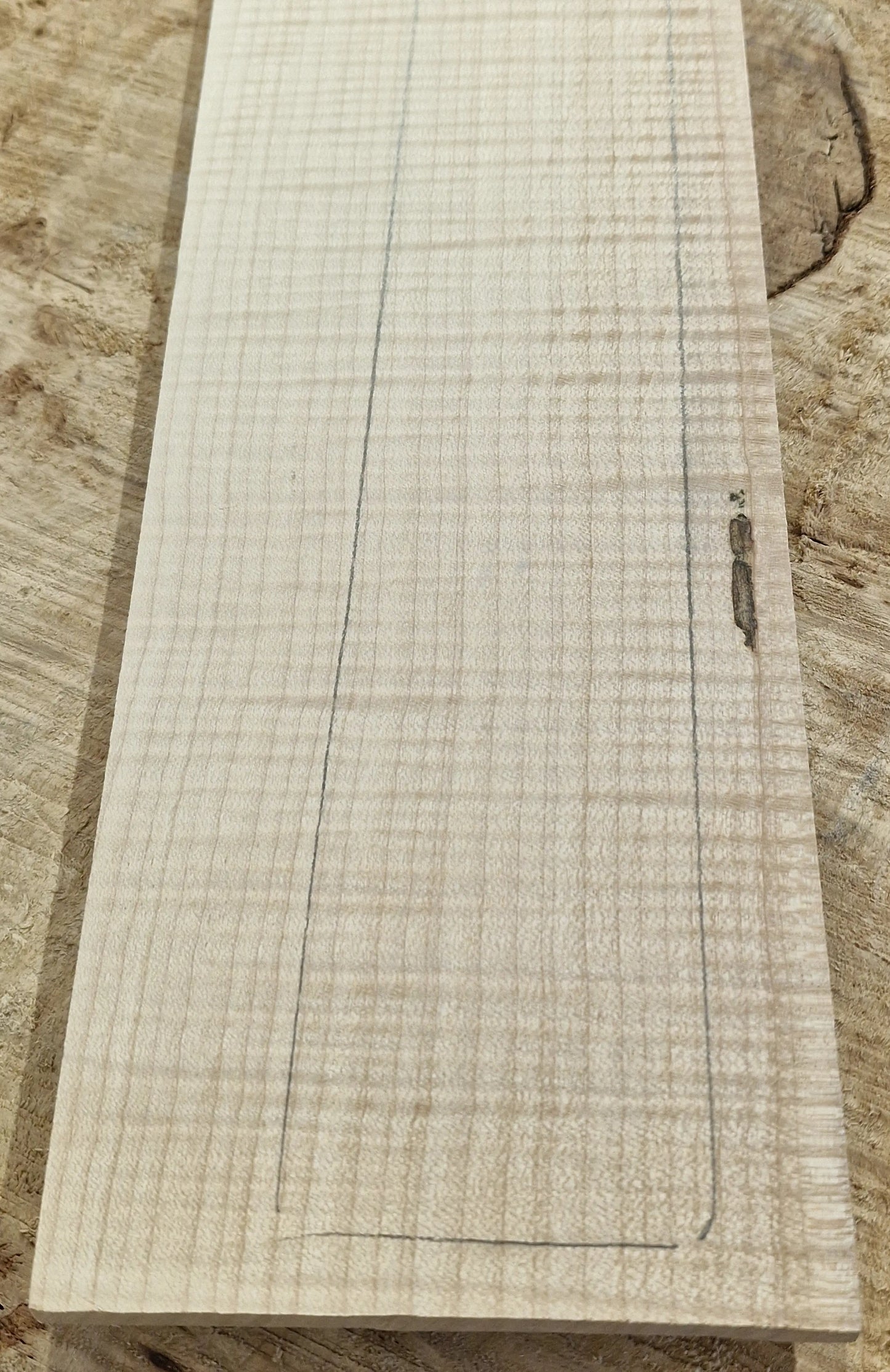 Griffbrett Riegelahorn 290825 Bass