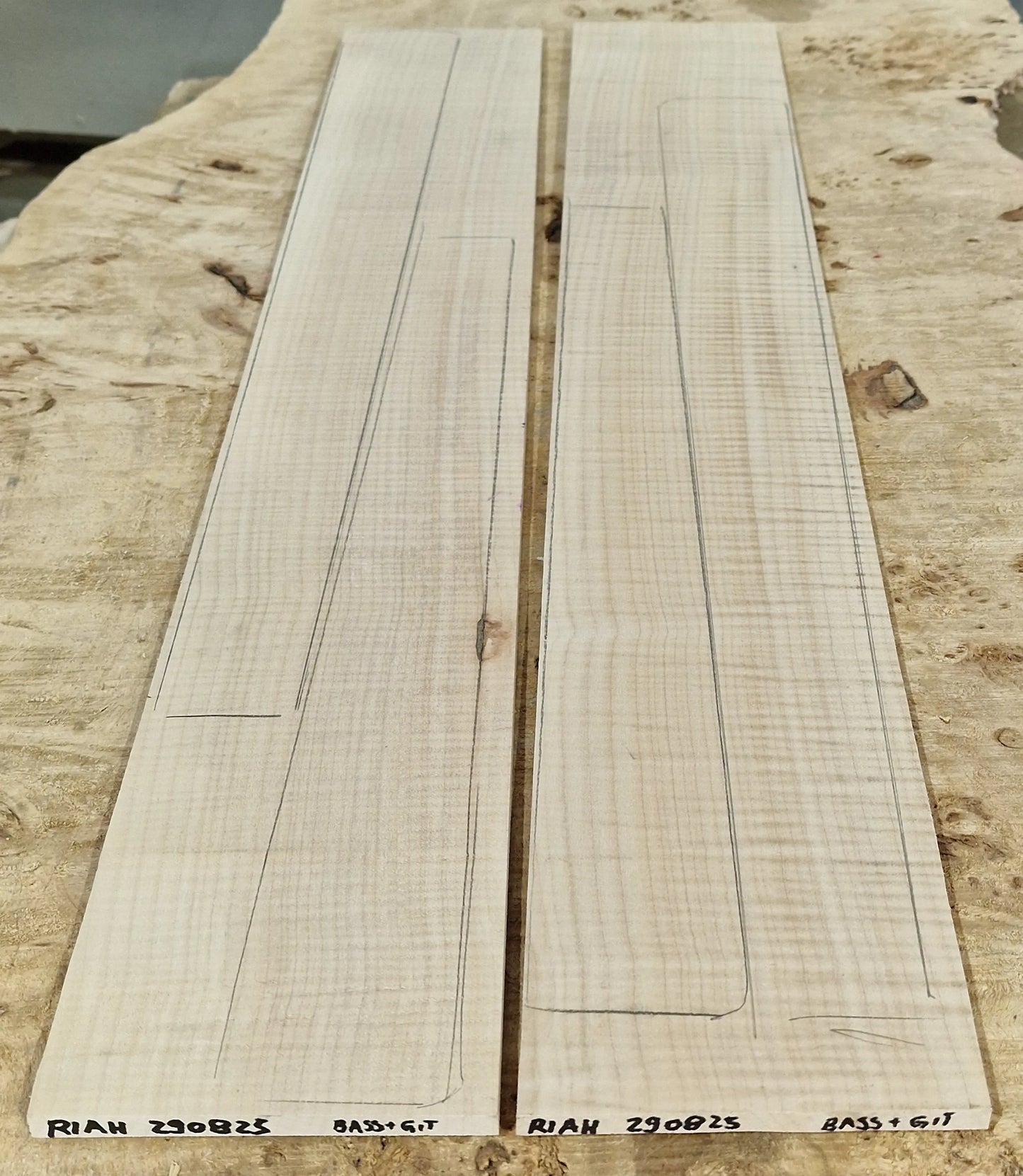 Griffbrett Riegelahorn 290825 Bass/Git